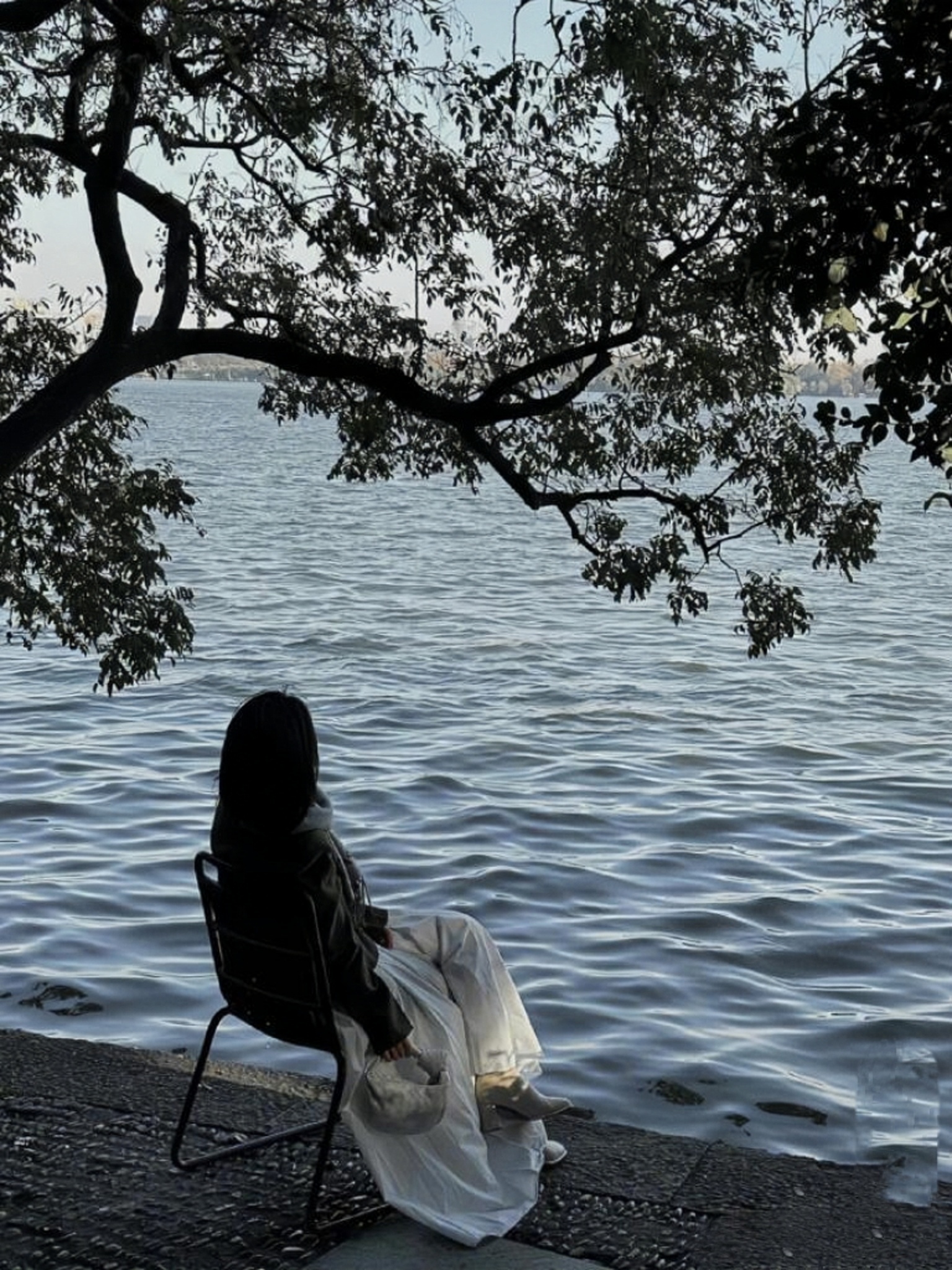 而成熟少妇,则不仅索求情感的共鸣,更渴望你人脉的助力与财富的共享