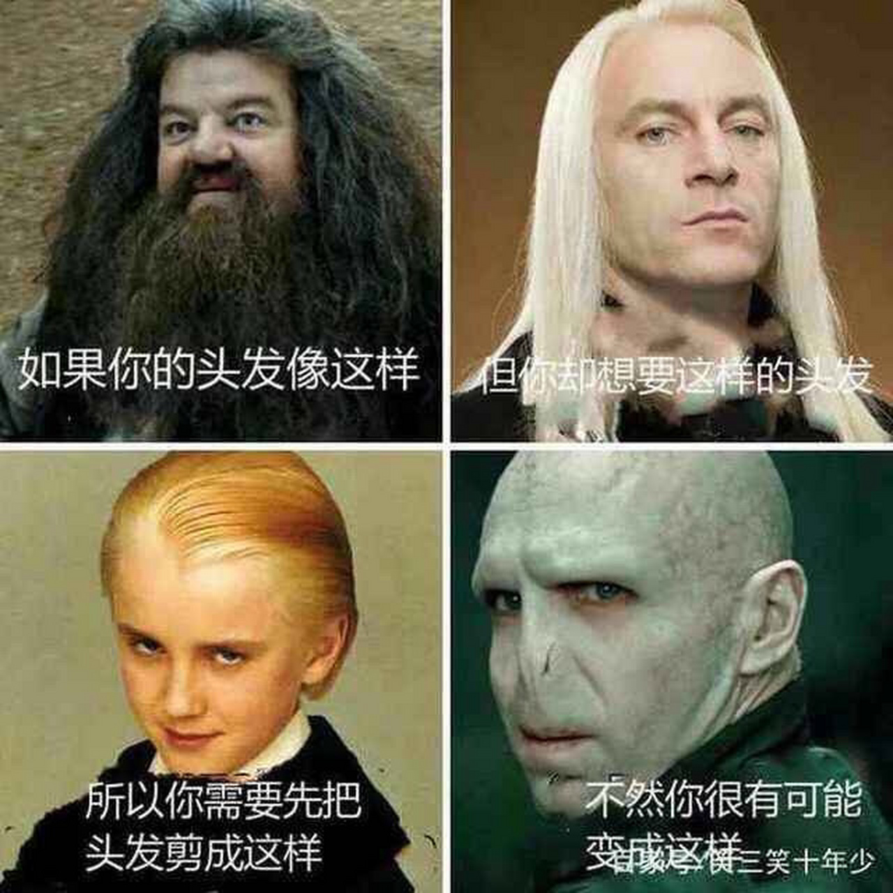 伏地魔表情包第二弹(搞笑指数:3)