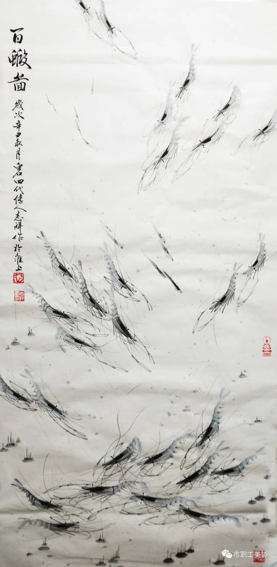 花鸟鱼虫基地# 绘画百虾图!