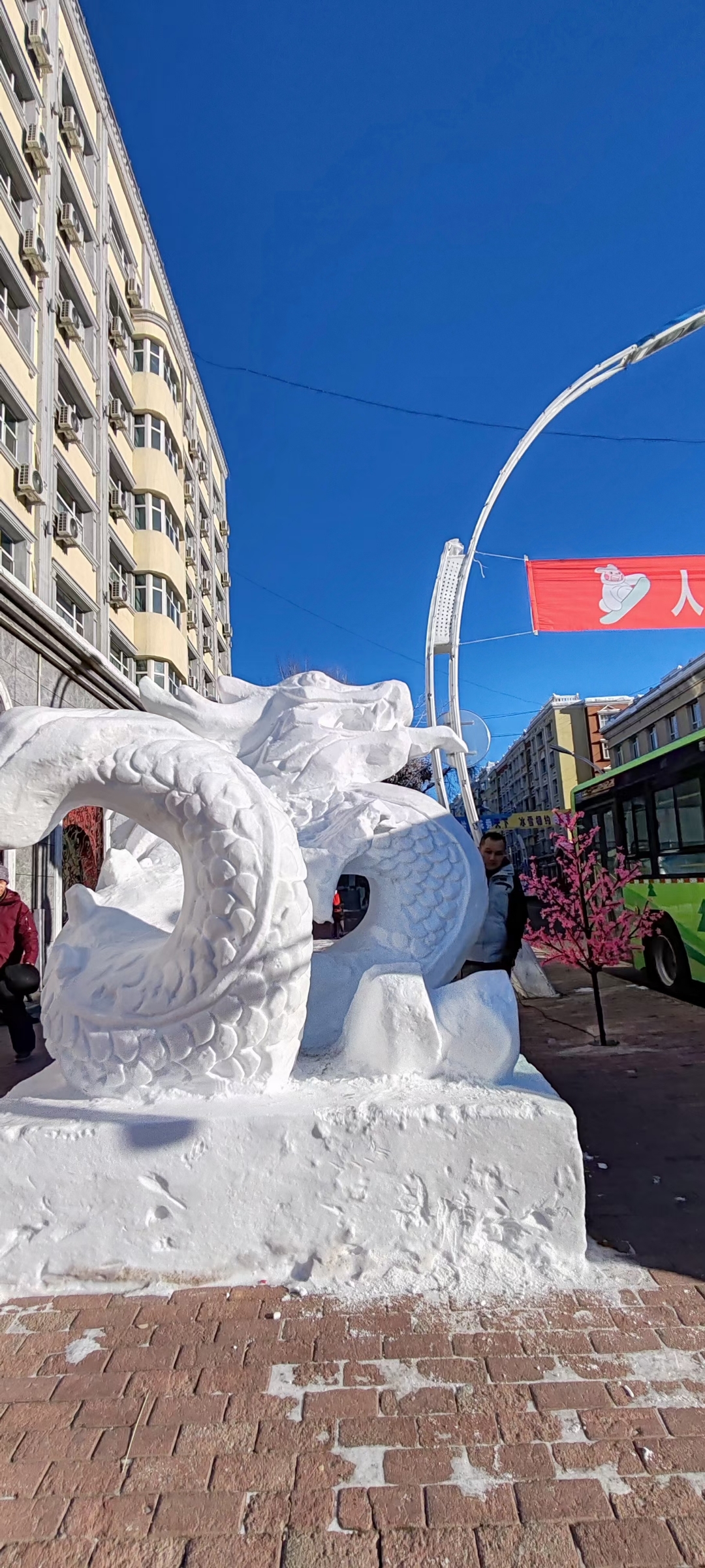 雪龙龙画法图片