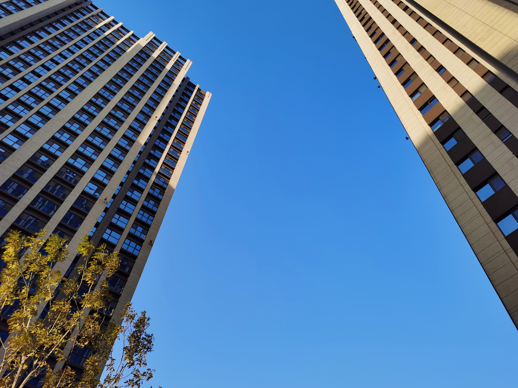 澄蓝的天#随手拍秋天# #随手拍北京