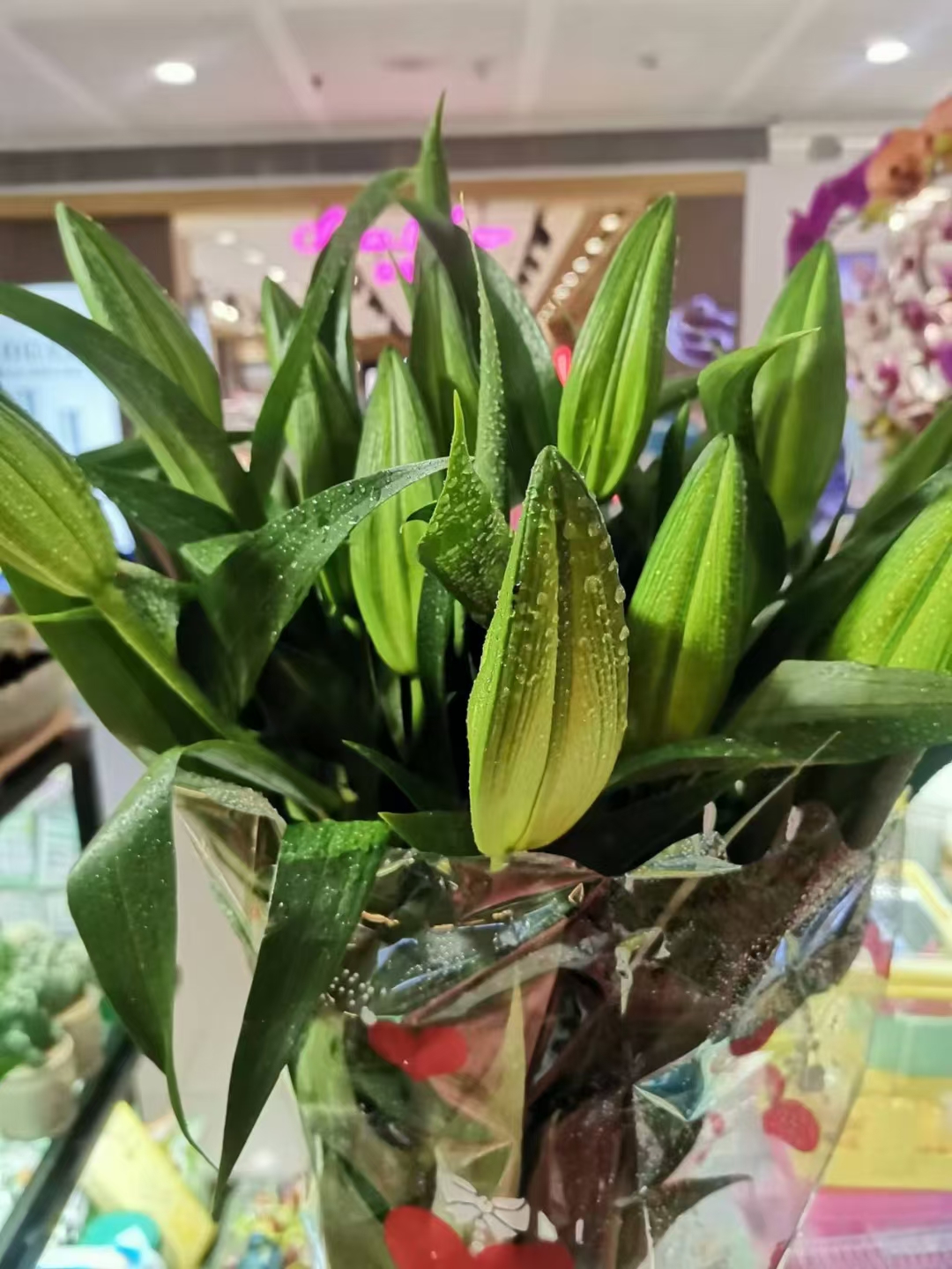 为什么它起这么好听的名字?黄金甲香水百合