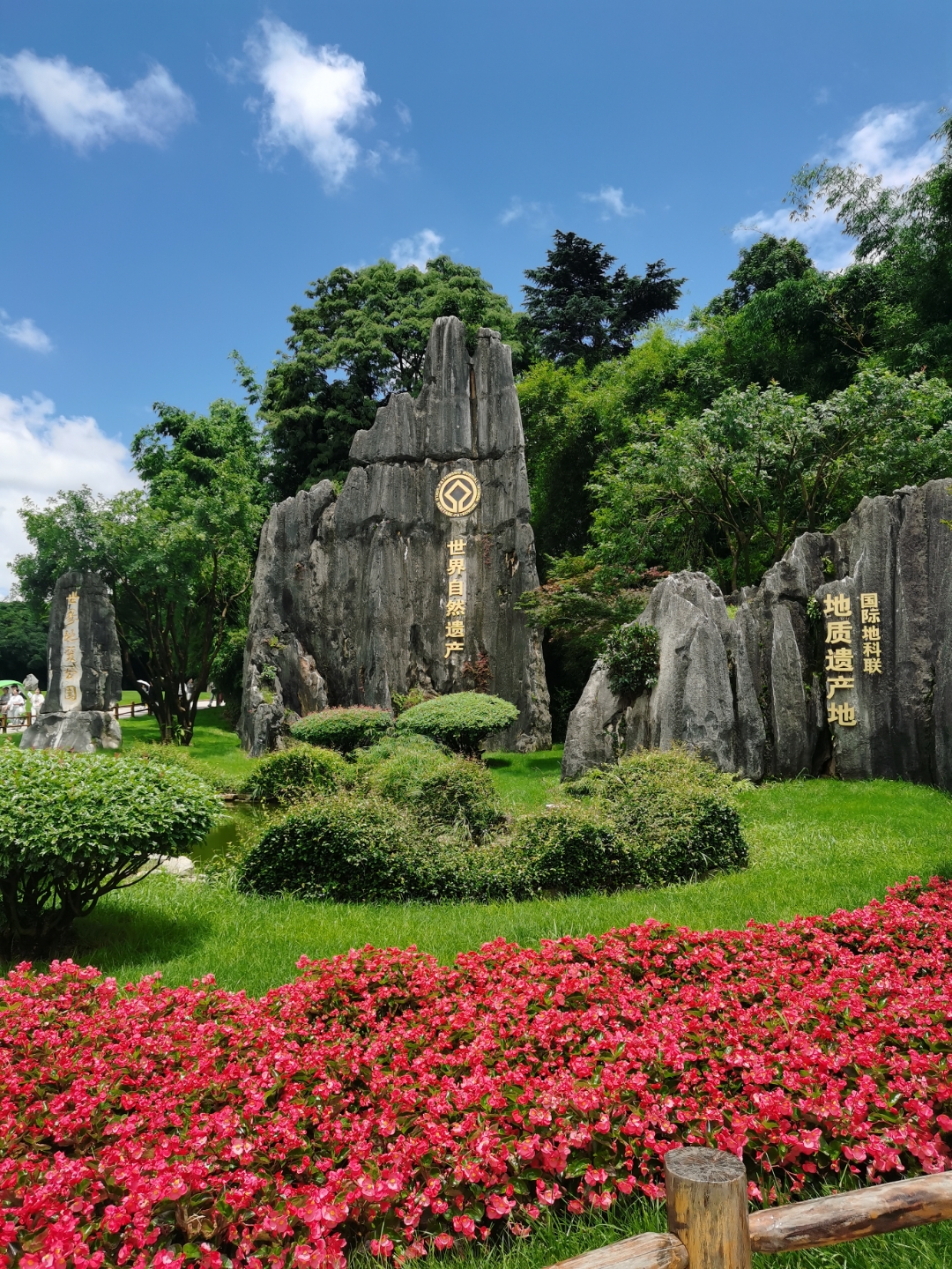 石林的石头真是奇特,远看如林木,近看高大矗立,直立向上,从不同角度看