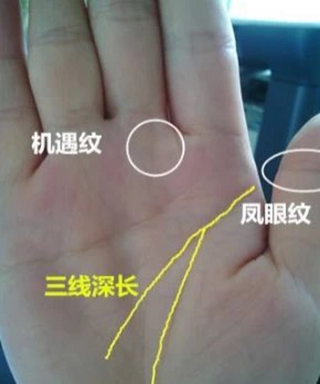 机遇纹带旺,人中之凤.
