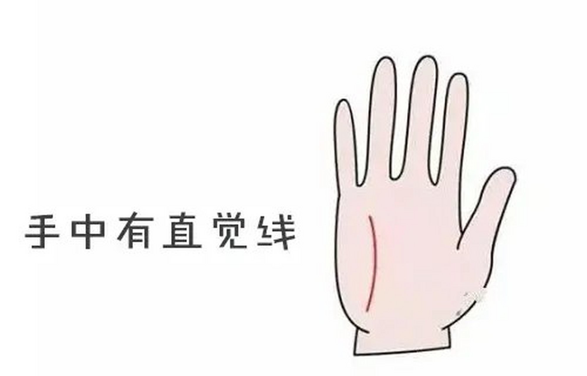 一个人若手上拥有直觉线,主其直觉敏锐,懂得把握商机