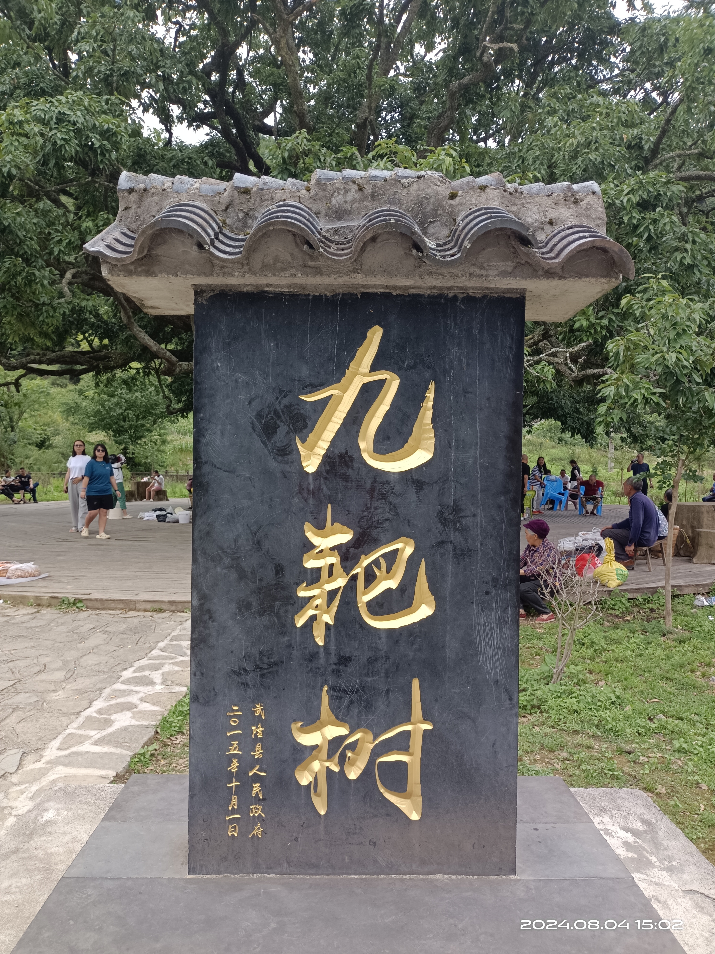 九耙树:风景这边美好!(作者 曾尚青)