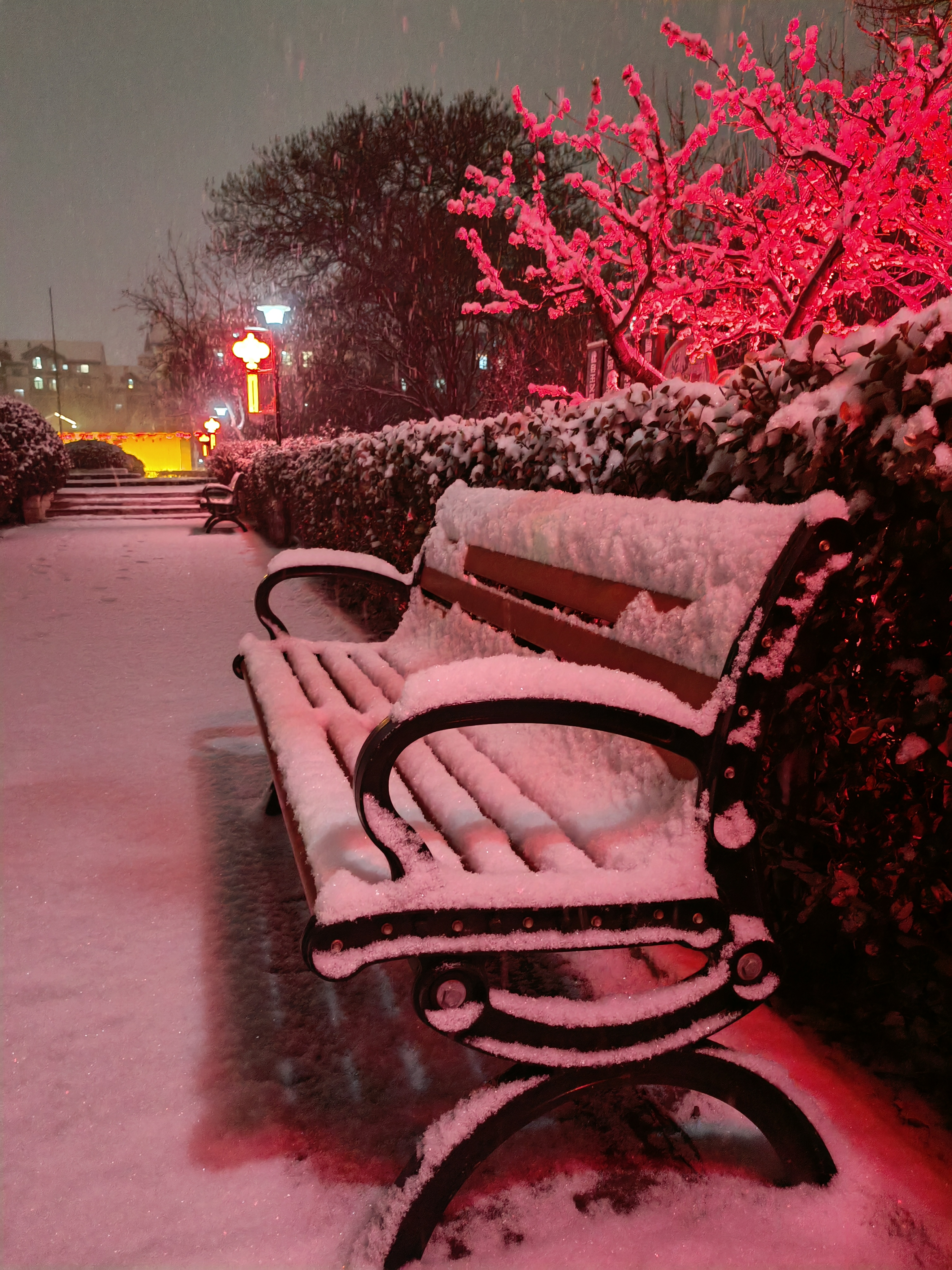 冬季夜景图片真实图片图片