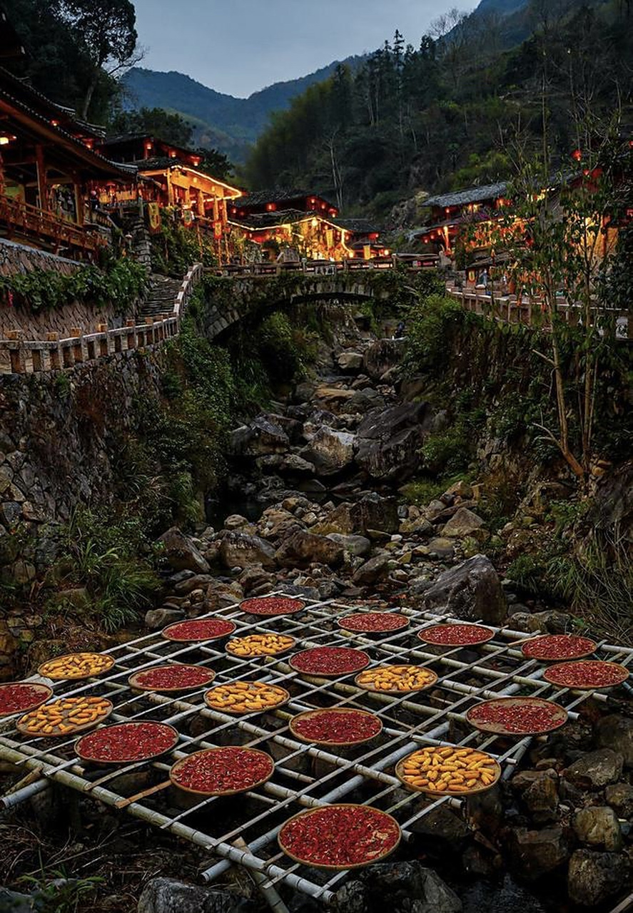 秋高气爽,硕果累累,眼下正是柿子的成熟季.在永嘉县鹤盛镇东炉村,黄澄