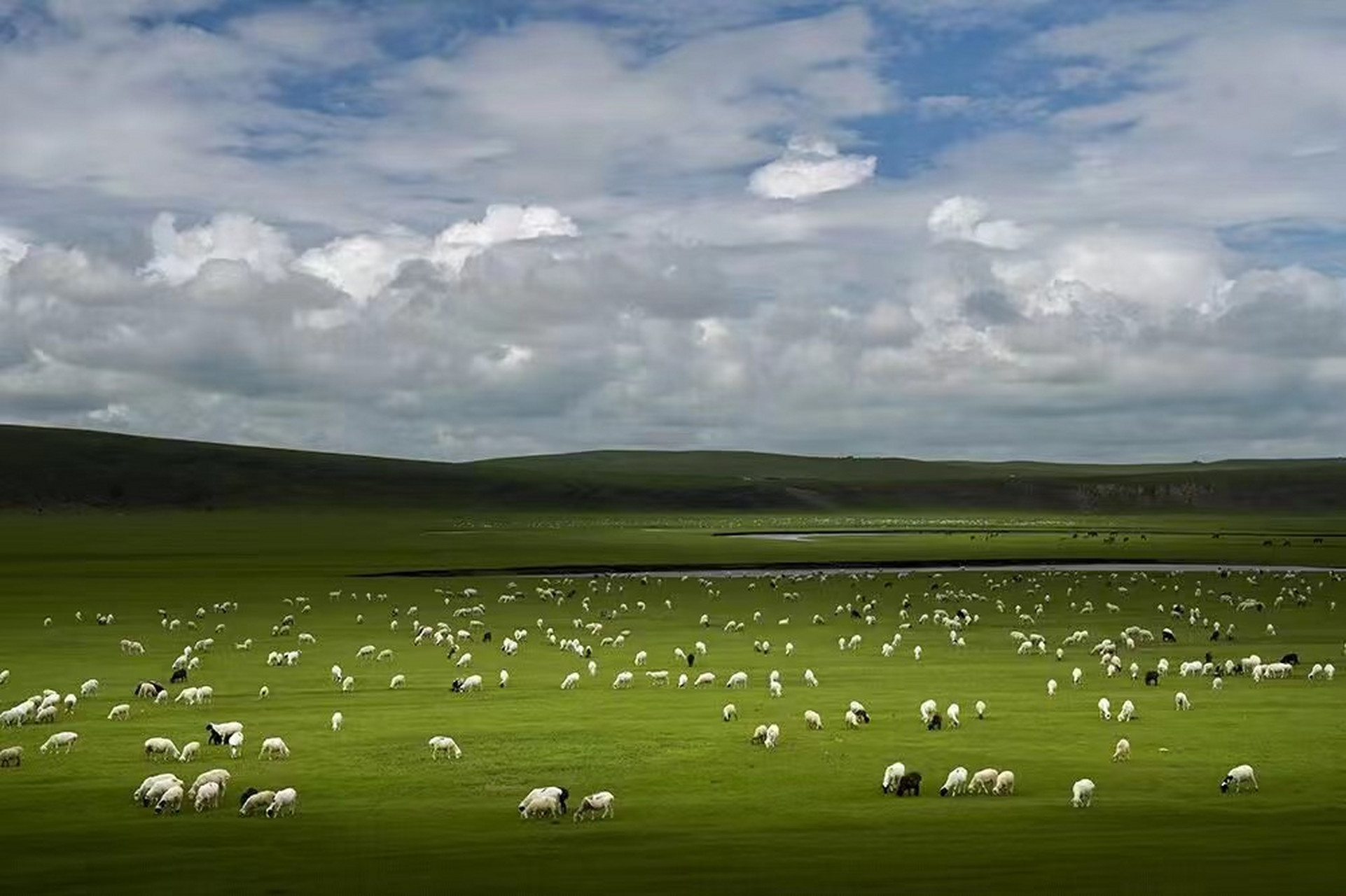 行程概述:海拉尔-陈巴尔虎旗金帐汗蒙古部落-鄂温克苏木夏营地