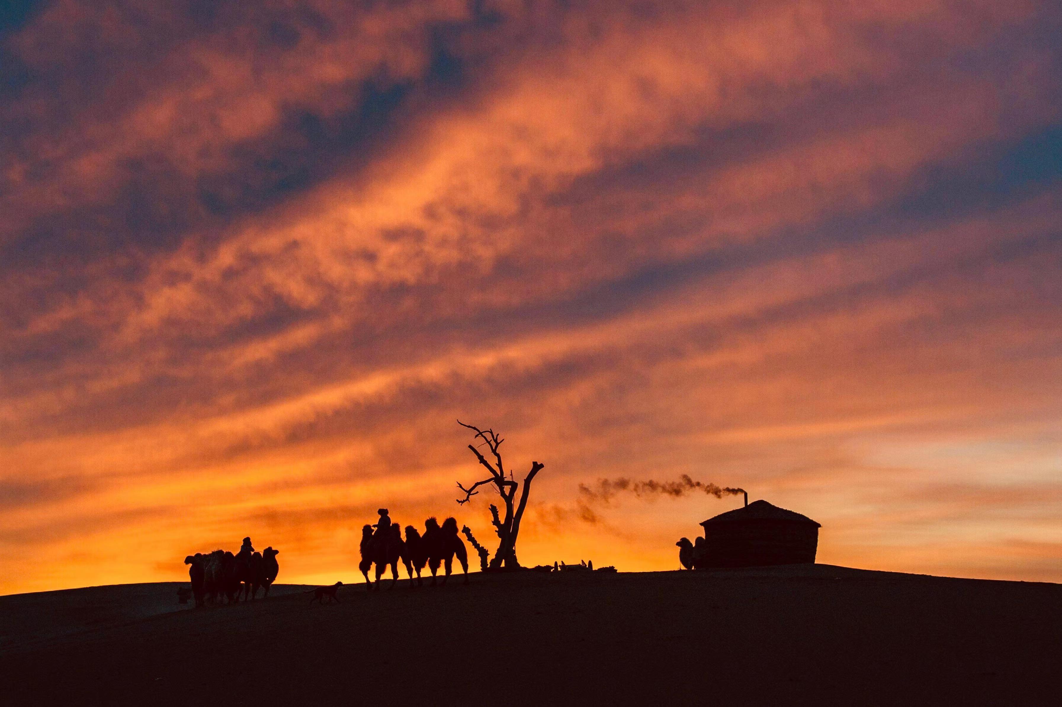 沙漠日落时分,一群骑手驾驭着骆驼前行,远处的小屋冒出炊烟,仿佛在