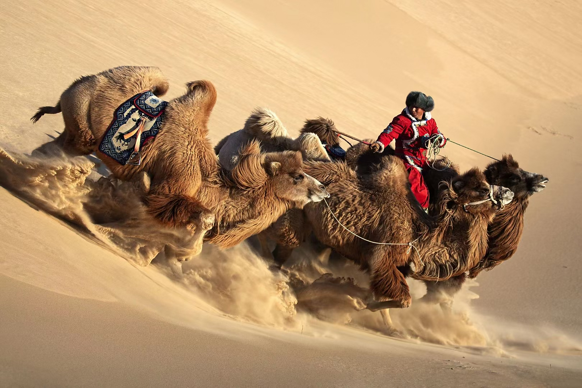 随着驼队行走在沙漠上,天边的夕阳映照脸庞,声声驼铃回荡在耳边,游客