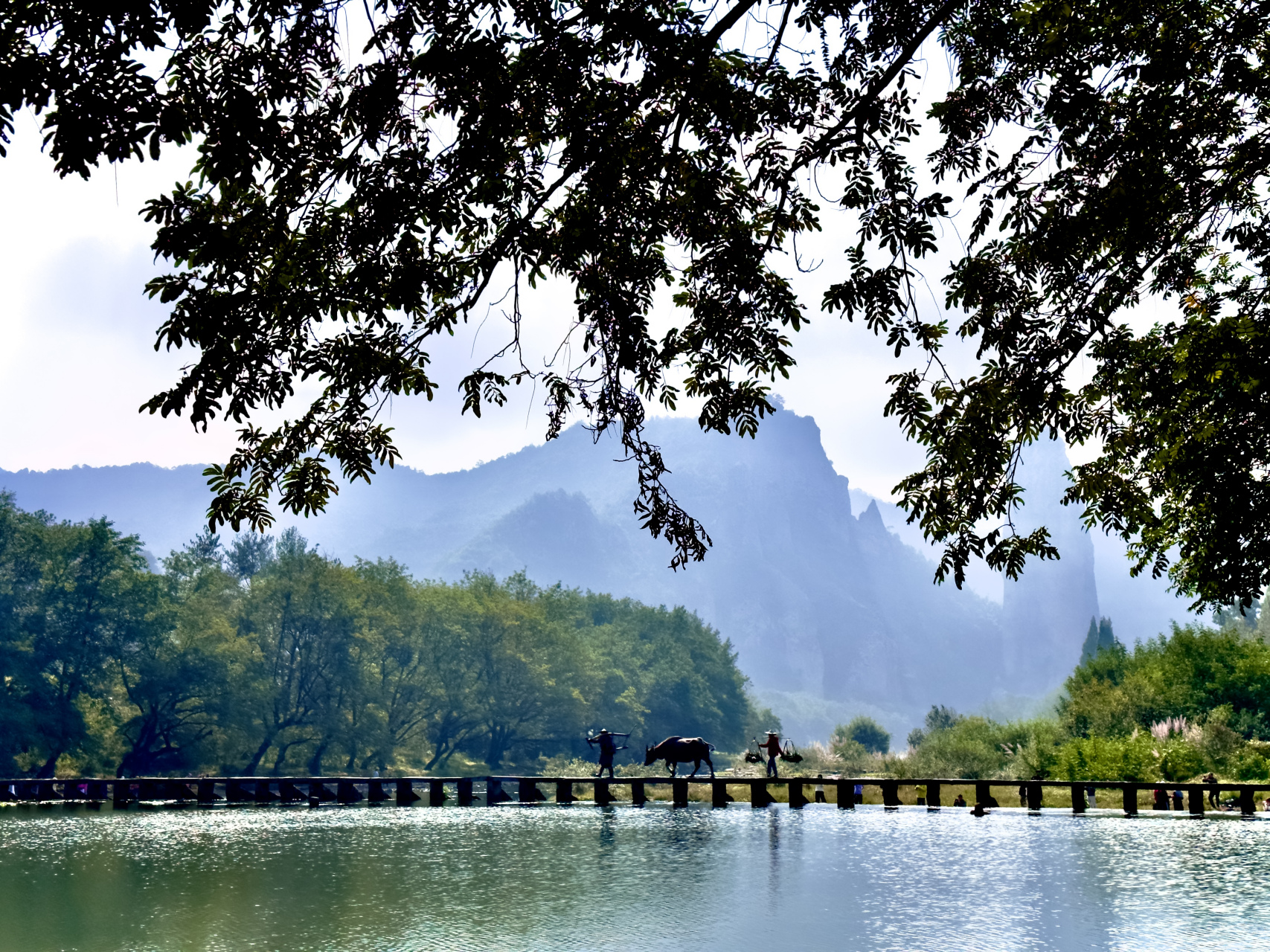 江南水乡的意境在这里得到了充分的释放与渲染.