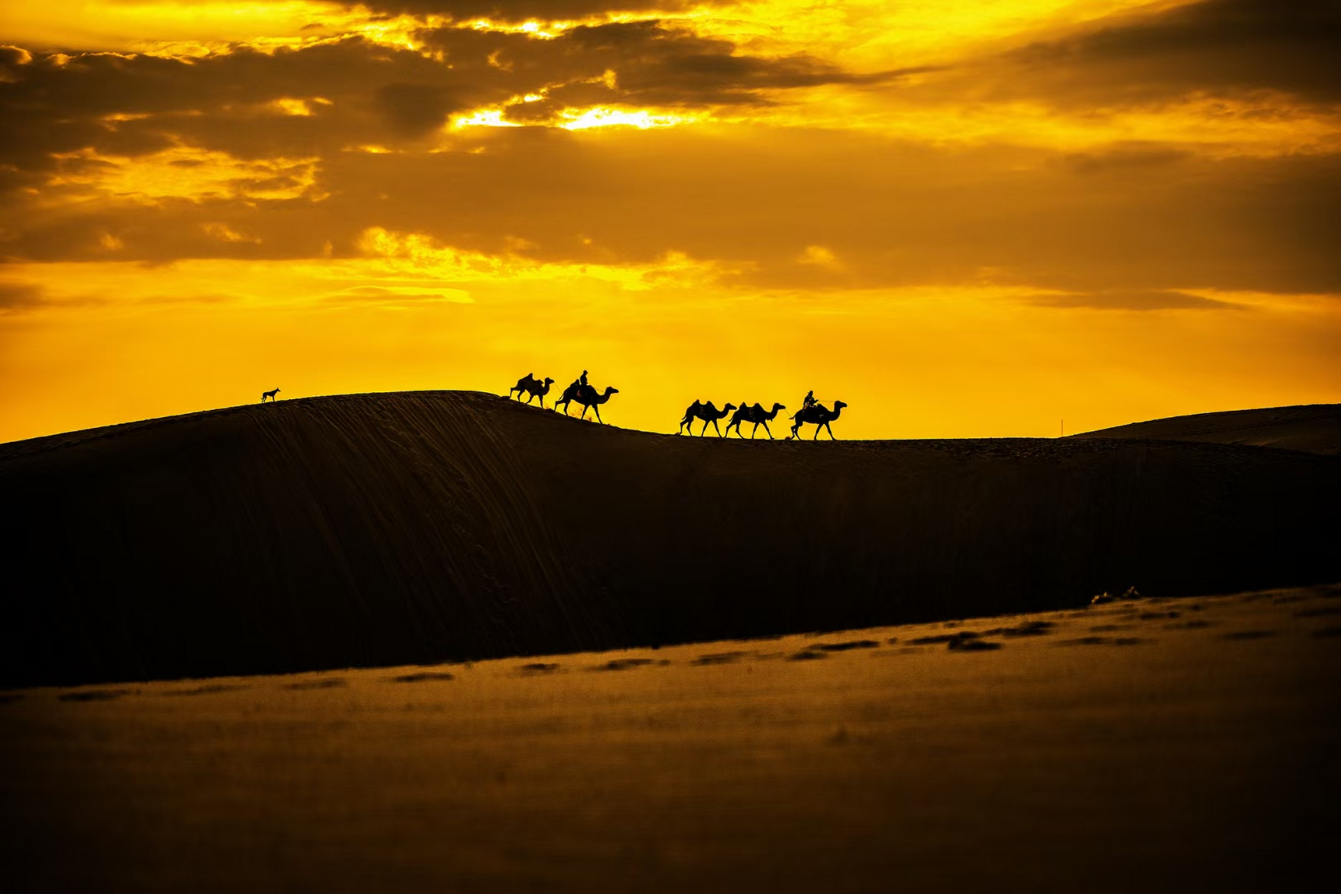 宝古图沙漠生态环境保护最好的一片沙漠,同时也是我国东北地区最大的