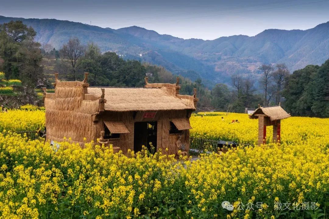 远山,近水,粉墙,黛瓦相映成趣,中间围拢着几个小小