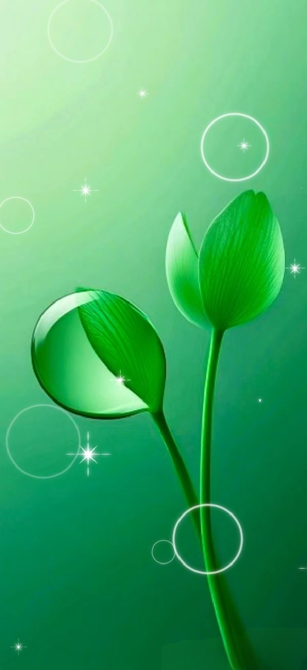 绿色护眼壁纸