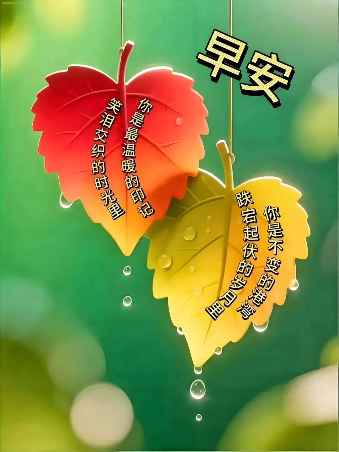 愿快乐为你驻足,健康为你停留 平安为你守候,幸福为你停留 早上好