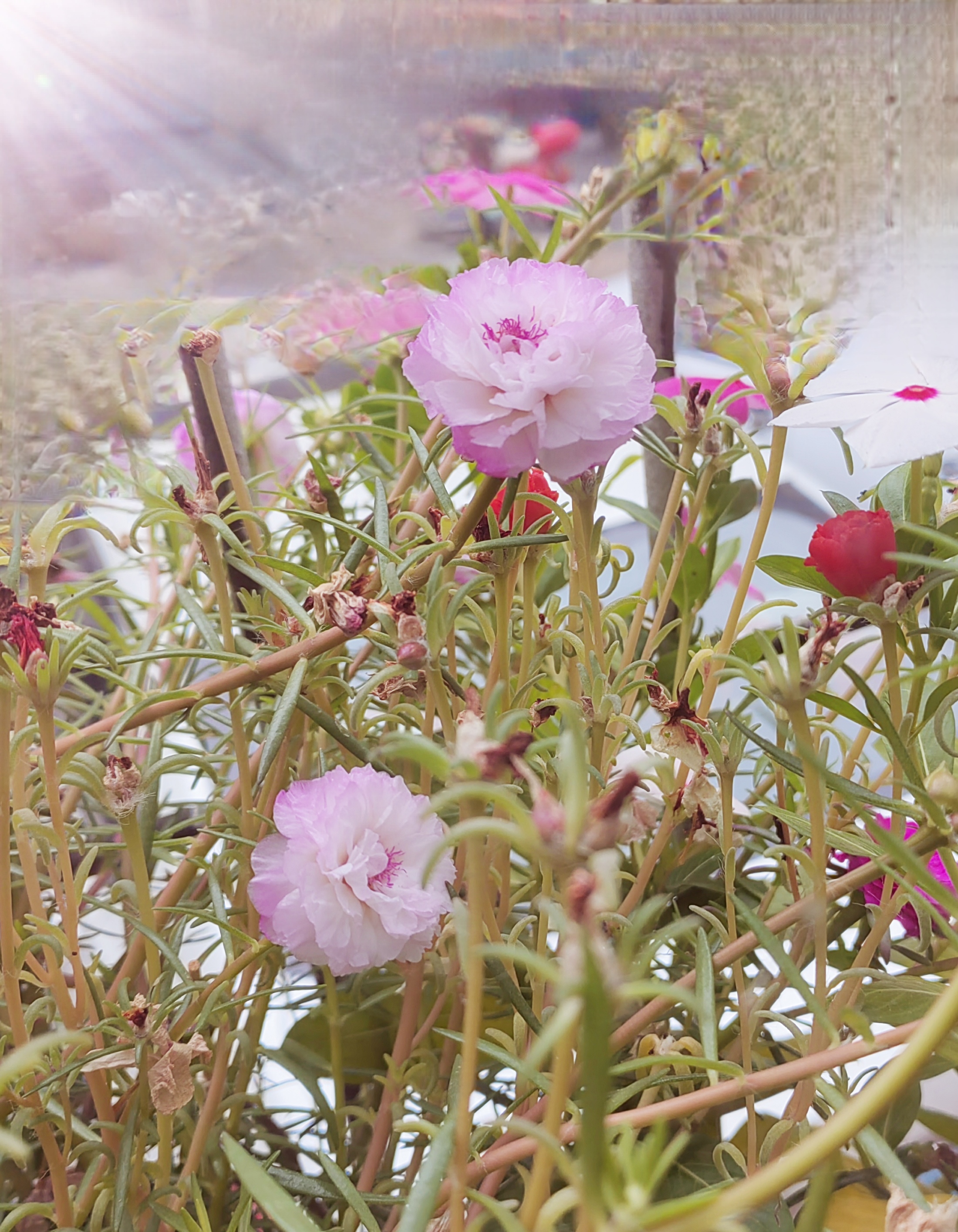 世上你我皆是客,何必计较那么多