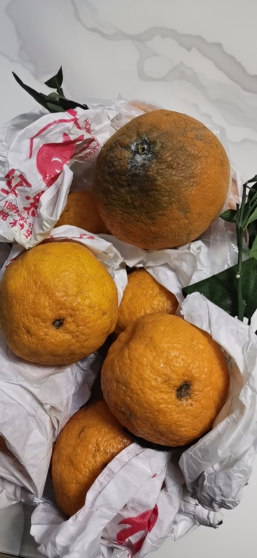 在拼多多买菜买的丑橘烂了还不给退,说没有证据,看看这图不是烂果吗