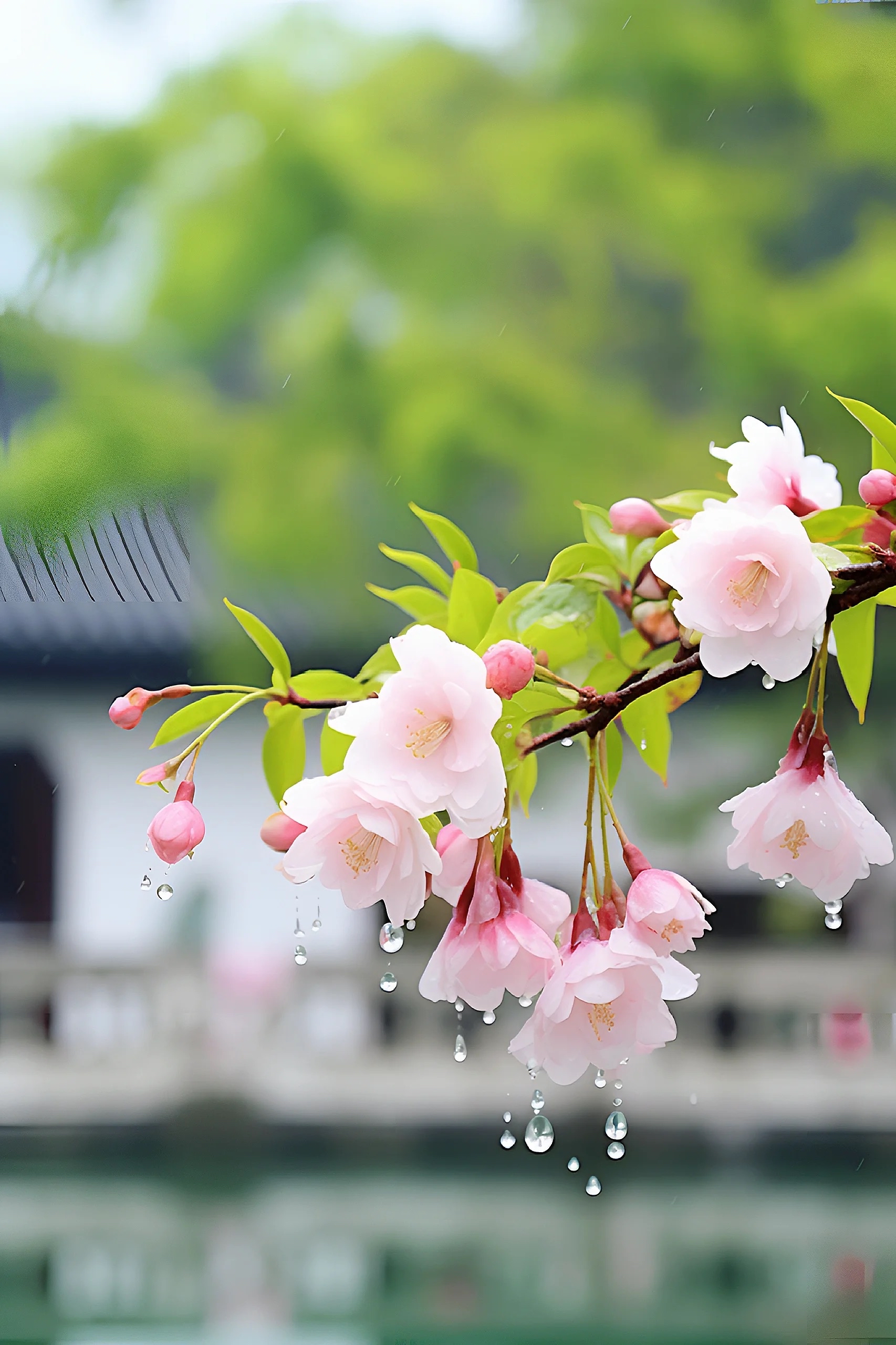 让每个平凡的日子都溢满花香#点缀生活的鲜花#不可错过的美景