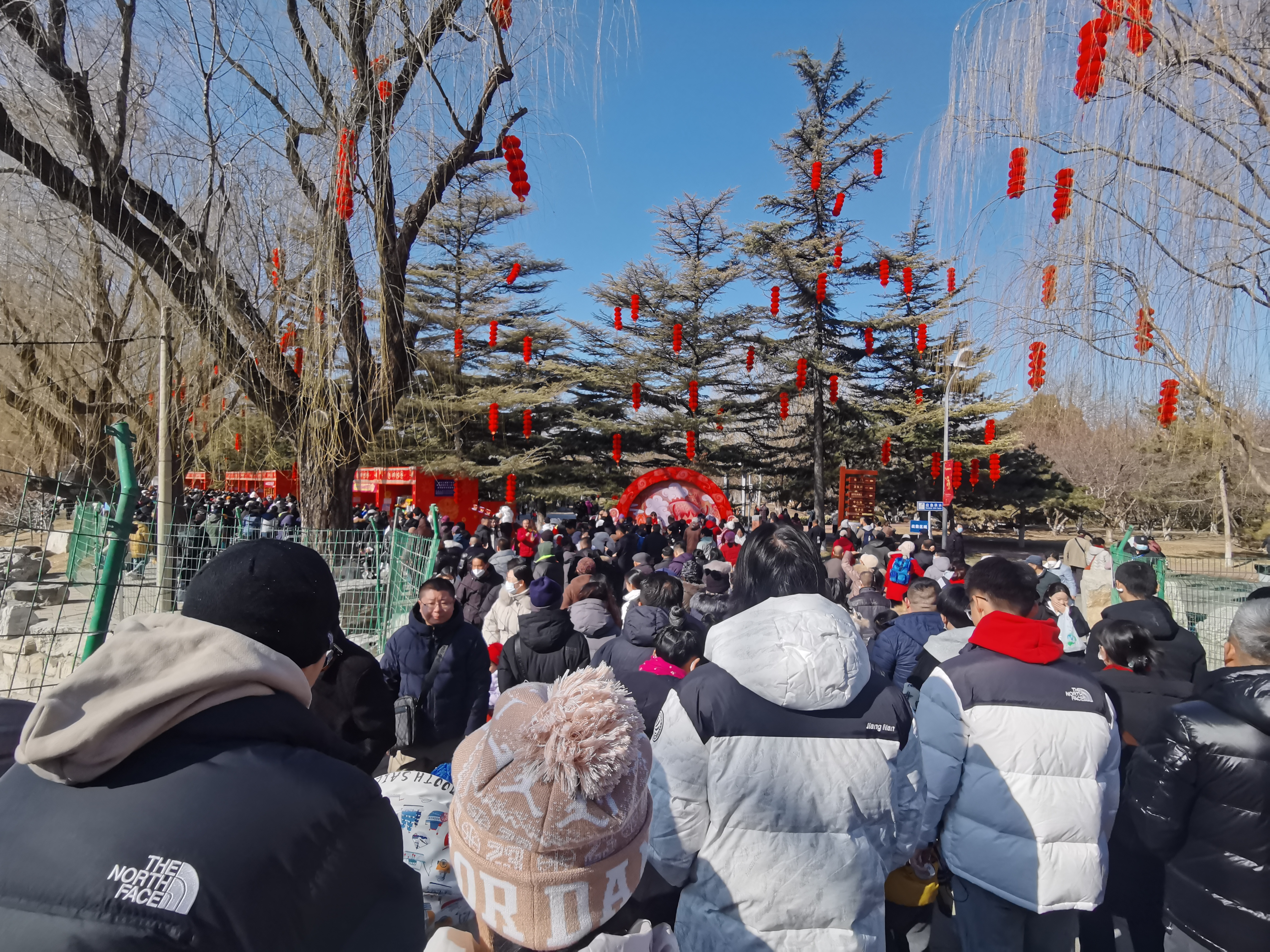 北京龙潭公园庙会2022图片