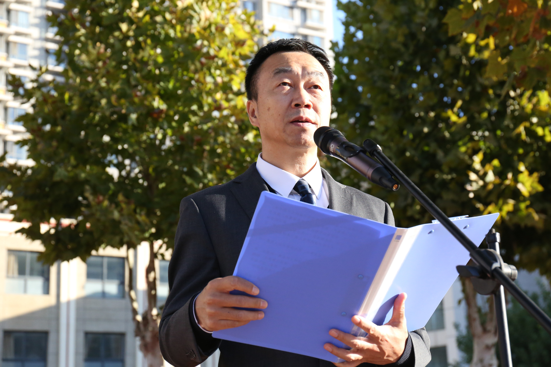 团结拼搏不言弃,运动场上试锋芒