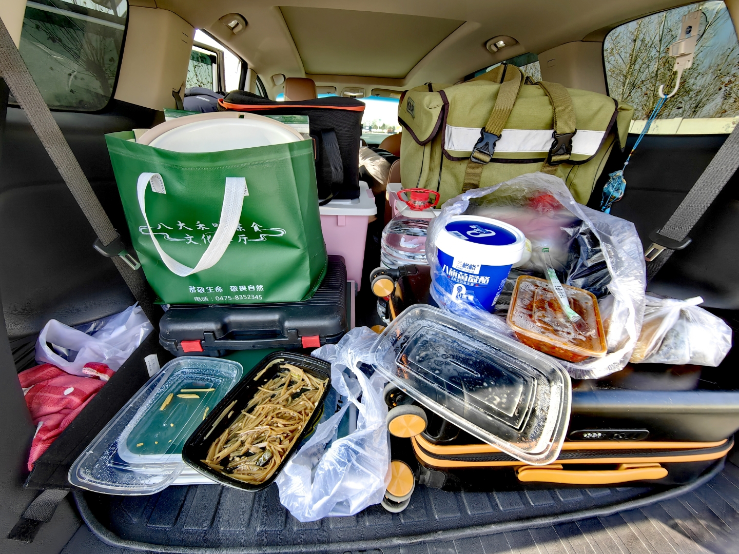 出了老醋炒土豆丝,虾仁炒胡萝卜青瓜,中午用车载电源做了一锅大米饭