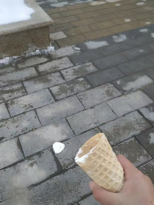 买了个超贵的冰淇淋,刚舔一口就掉地上了,心疼得要命.