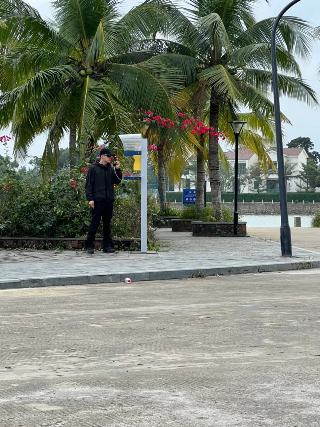 对话篇 鲸鱼:我过去打个电话,先把你