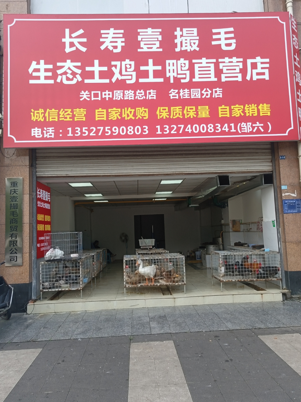 重庆壹撮毛商贸有限公司,长寿壹撮毛生态土鸡土鸭直营店