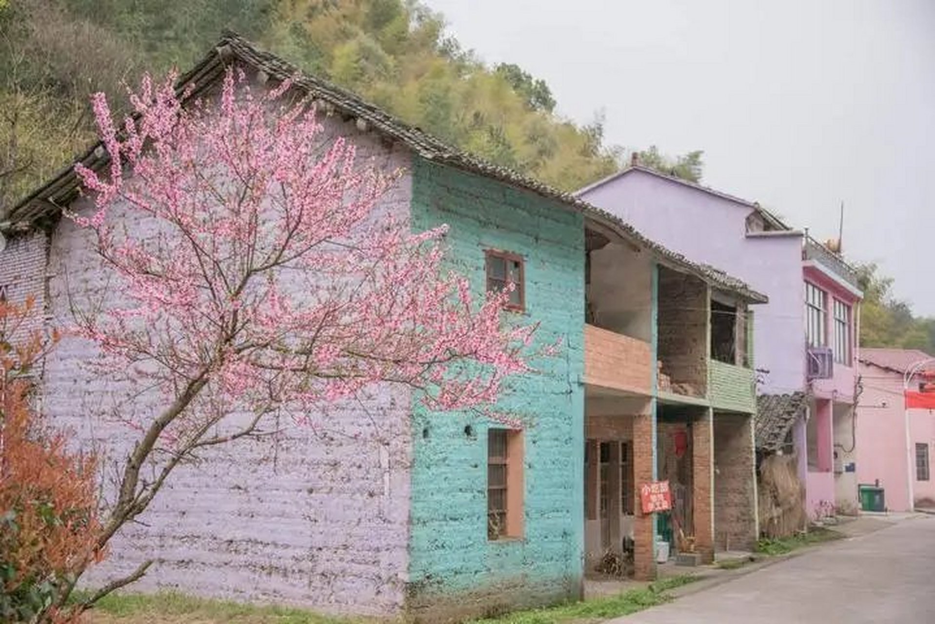 浦江县民生村有着大片的油菜花梯田,徜徉在花海之中,过一次慢生活.