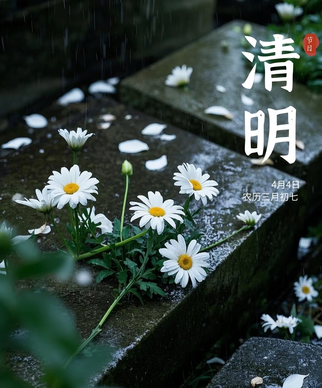三月的风 四月的雨 一转眼又是烟雨润清明,春色正阑珊