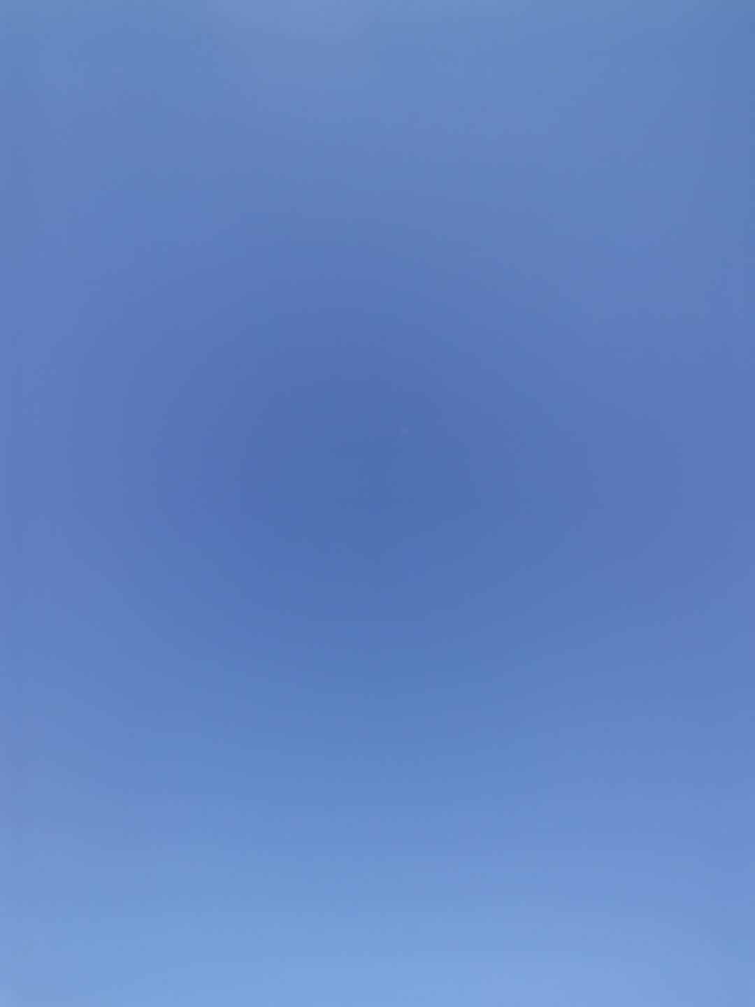 昨天还大风肆虐,温度低下,今天晴空万里无云.这就是多变的春天