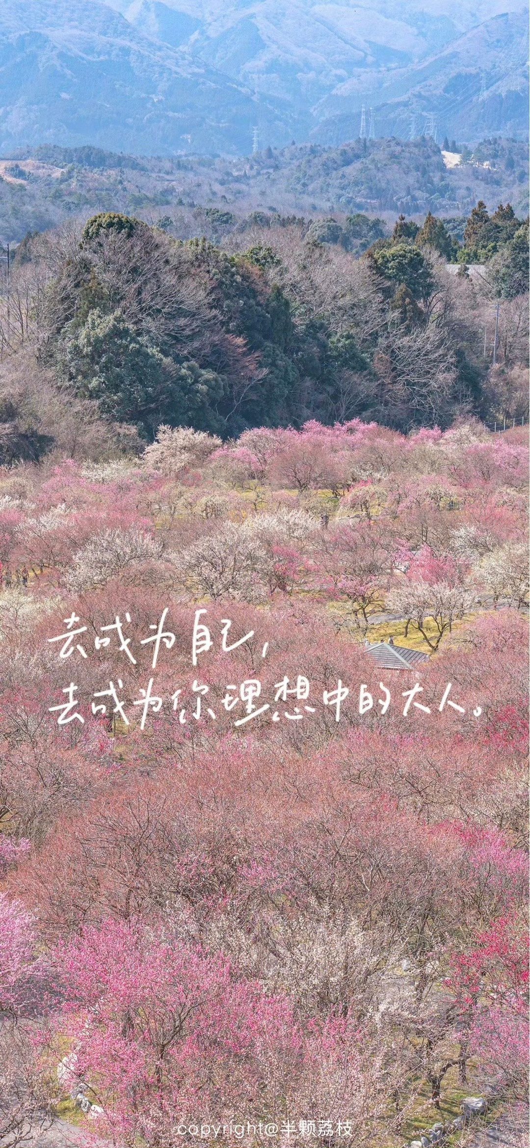 一组文艺浪漫的手写文字壁纸 #壁纸# #手机壁纸# #镜头里的春天