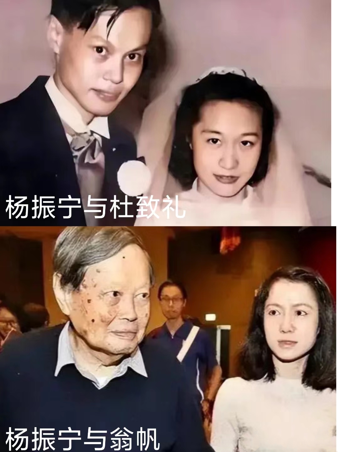 杨振宁妻子图片