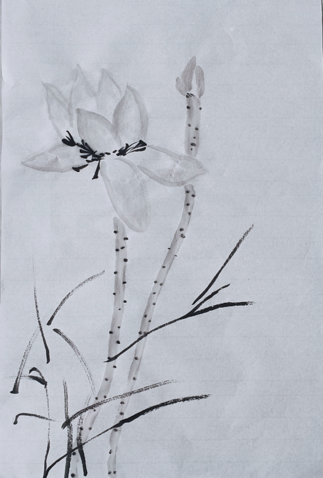 小名叫美丽的小女孩所画一组简易水墨