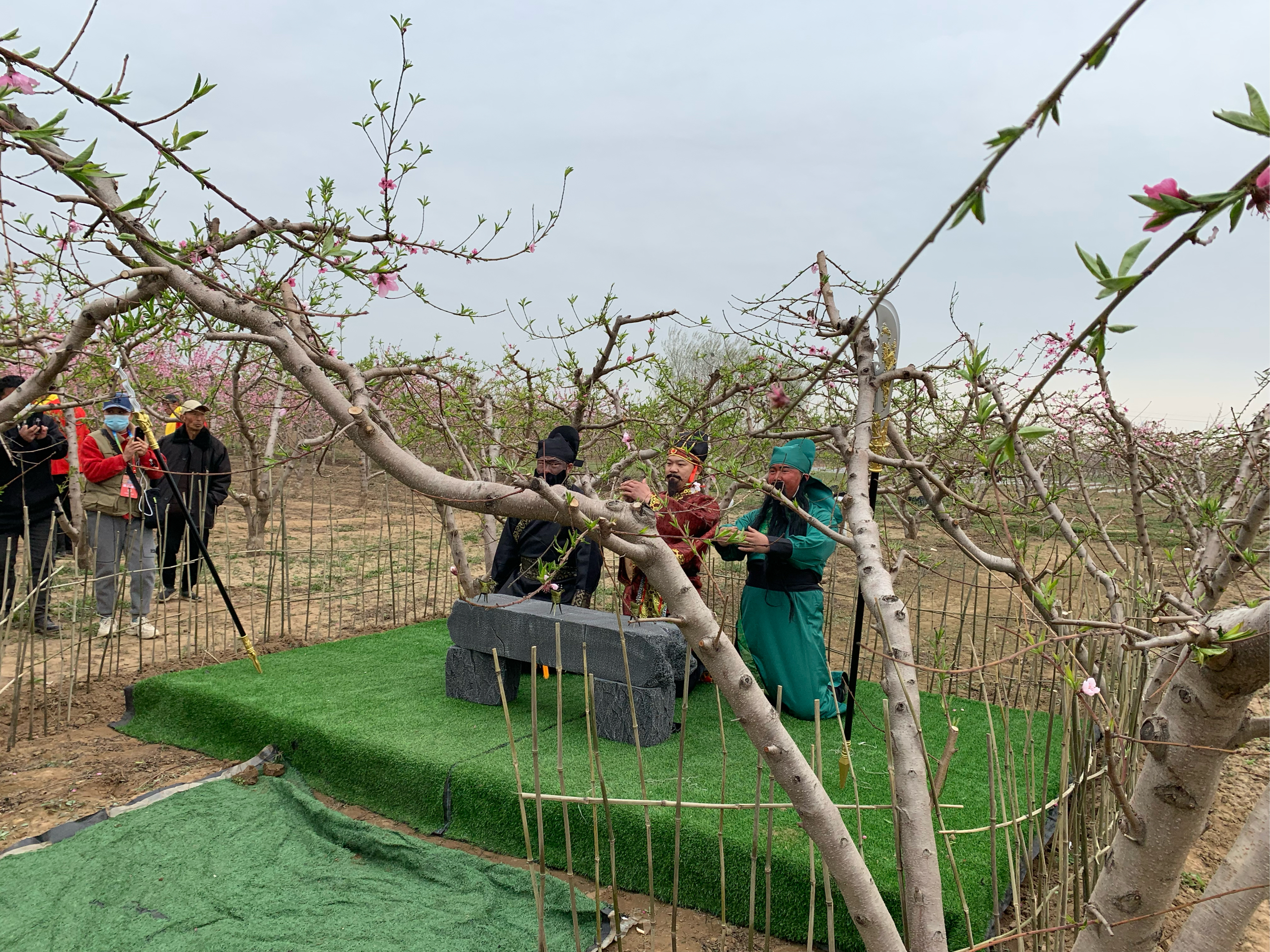 豆公桃花节图片