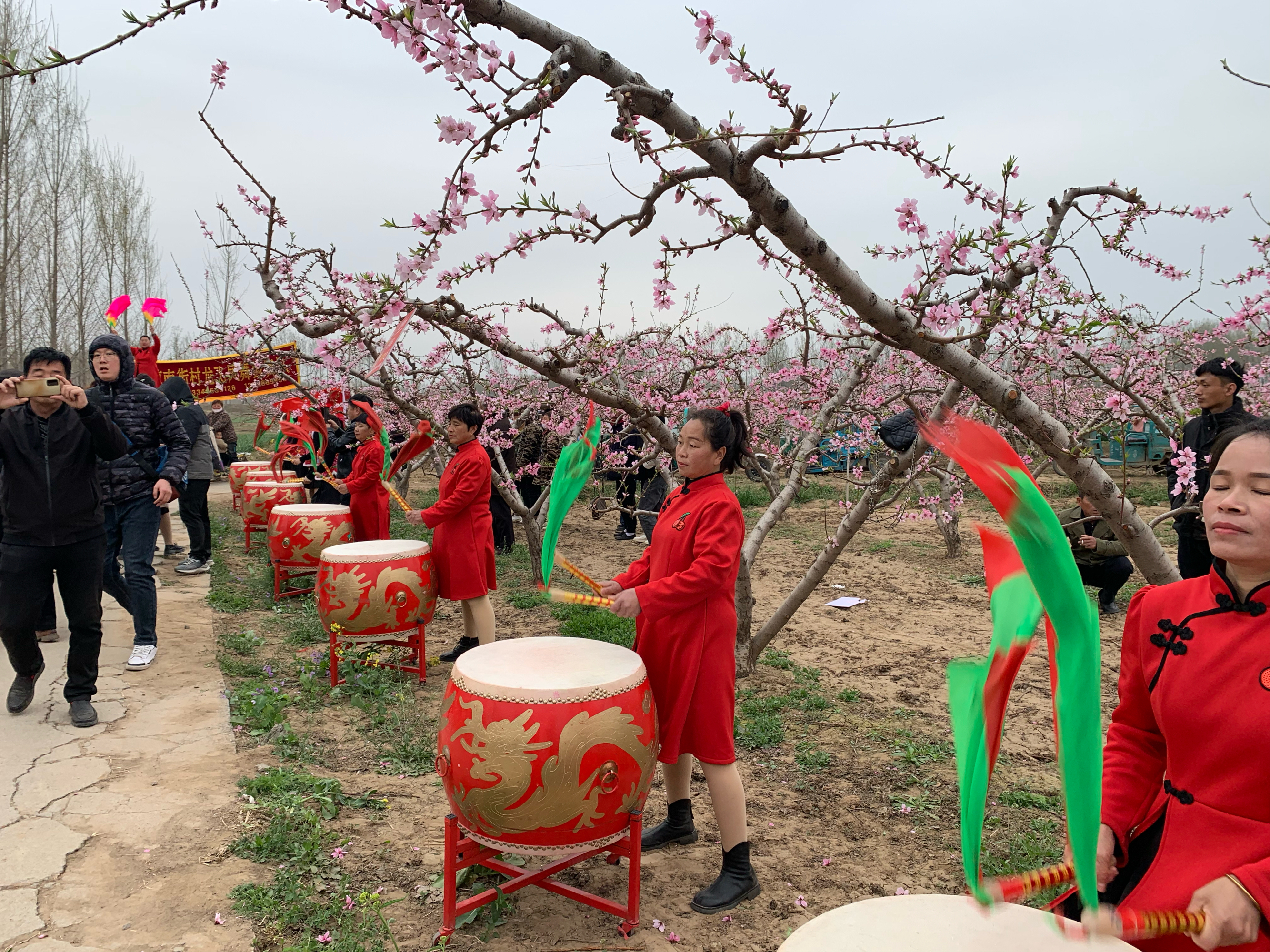 豆公桃花节图片