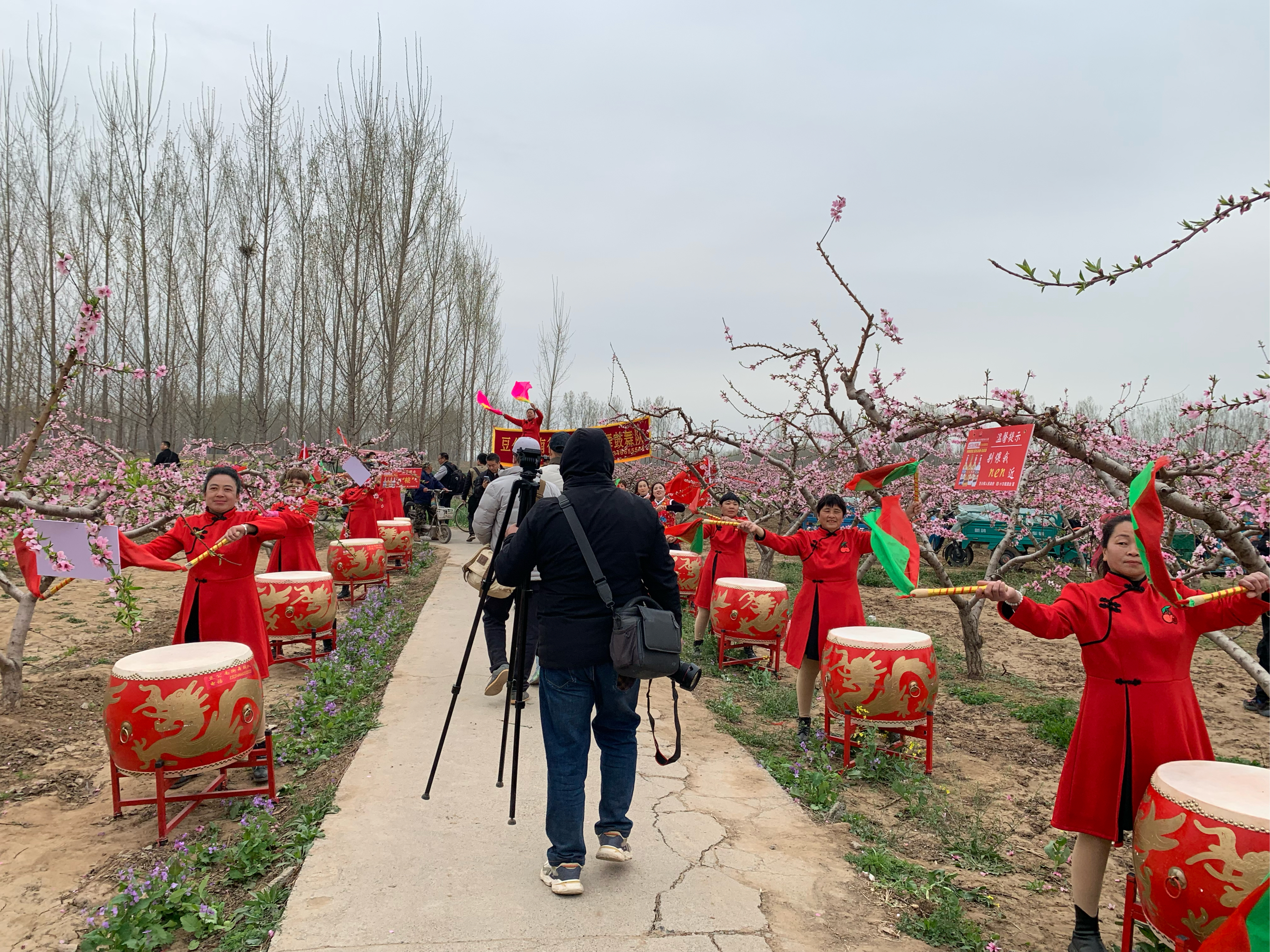 内黄桃花节图片