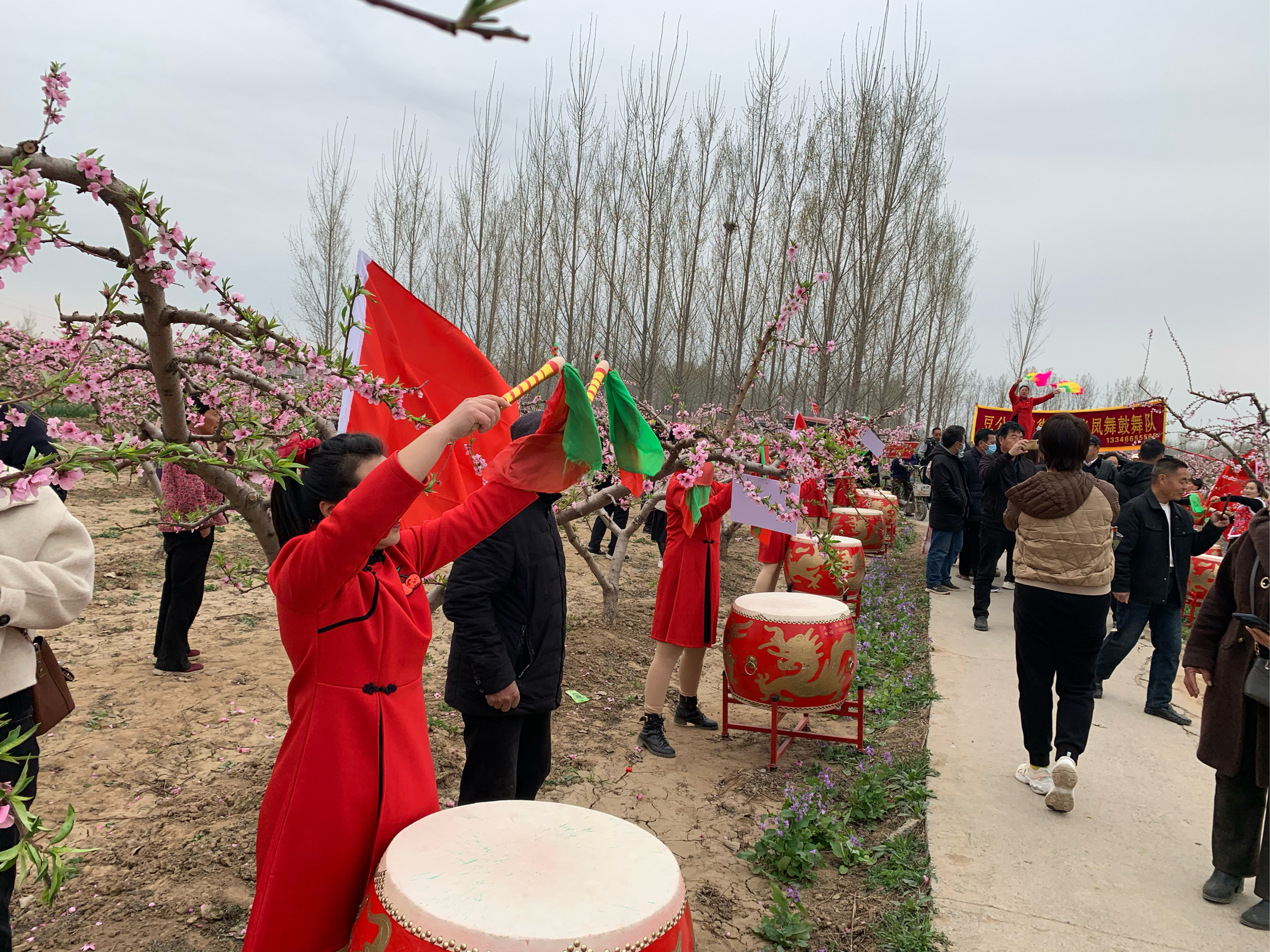 豆公桃花节图片