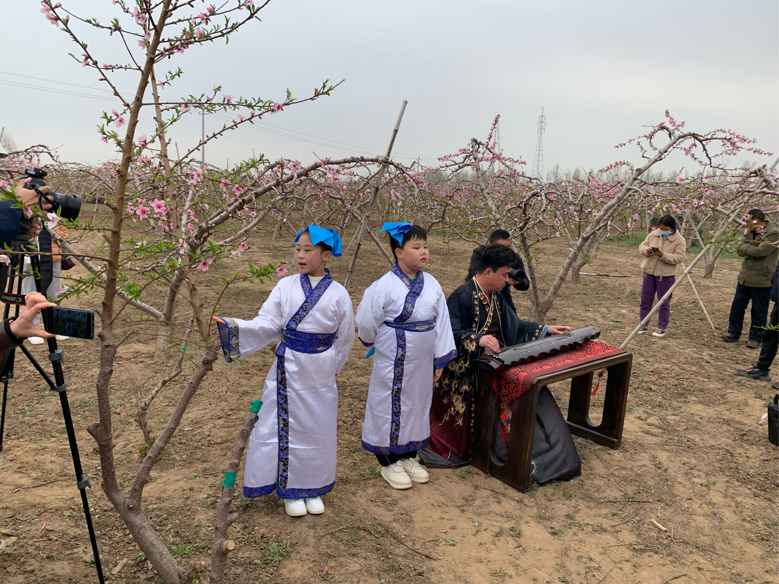 豆公桃花节图片