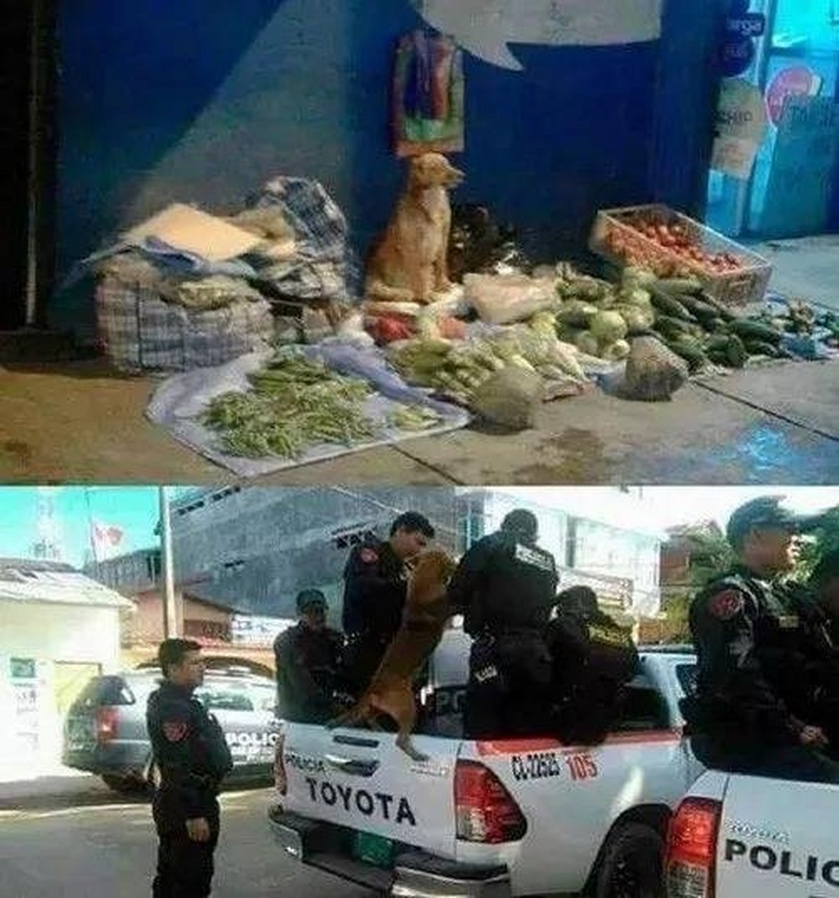 我第一次摆摊,给你个机会吧sⅰr![滑稽][滑稽][滑稽]