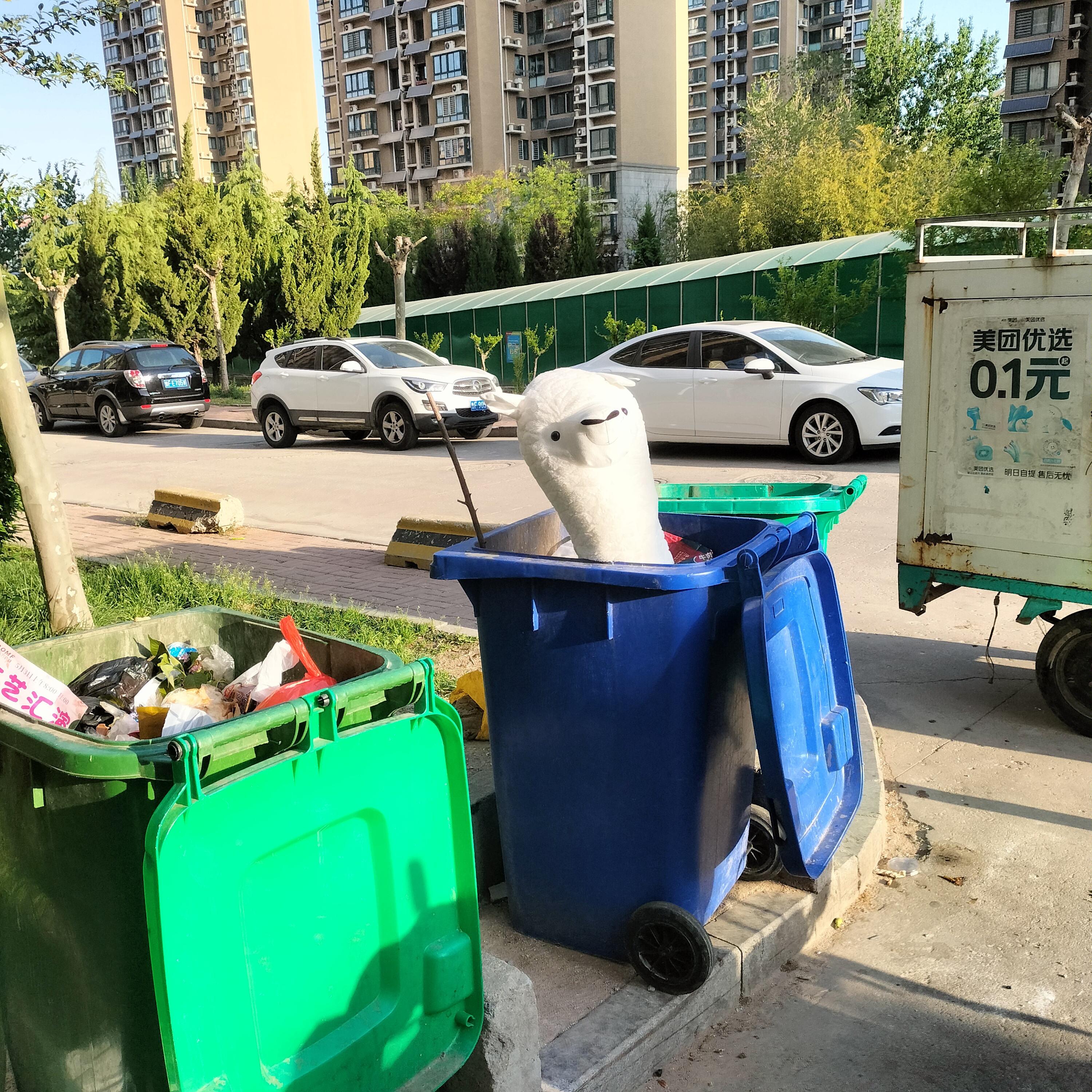早上一下楼把我吓了一激灵,我以为谁昨晚喝多了掉垃圾桶里了呢!