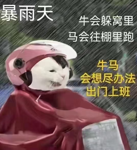 暴雨搞笑图片带字图片