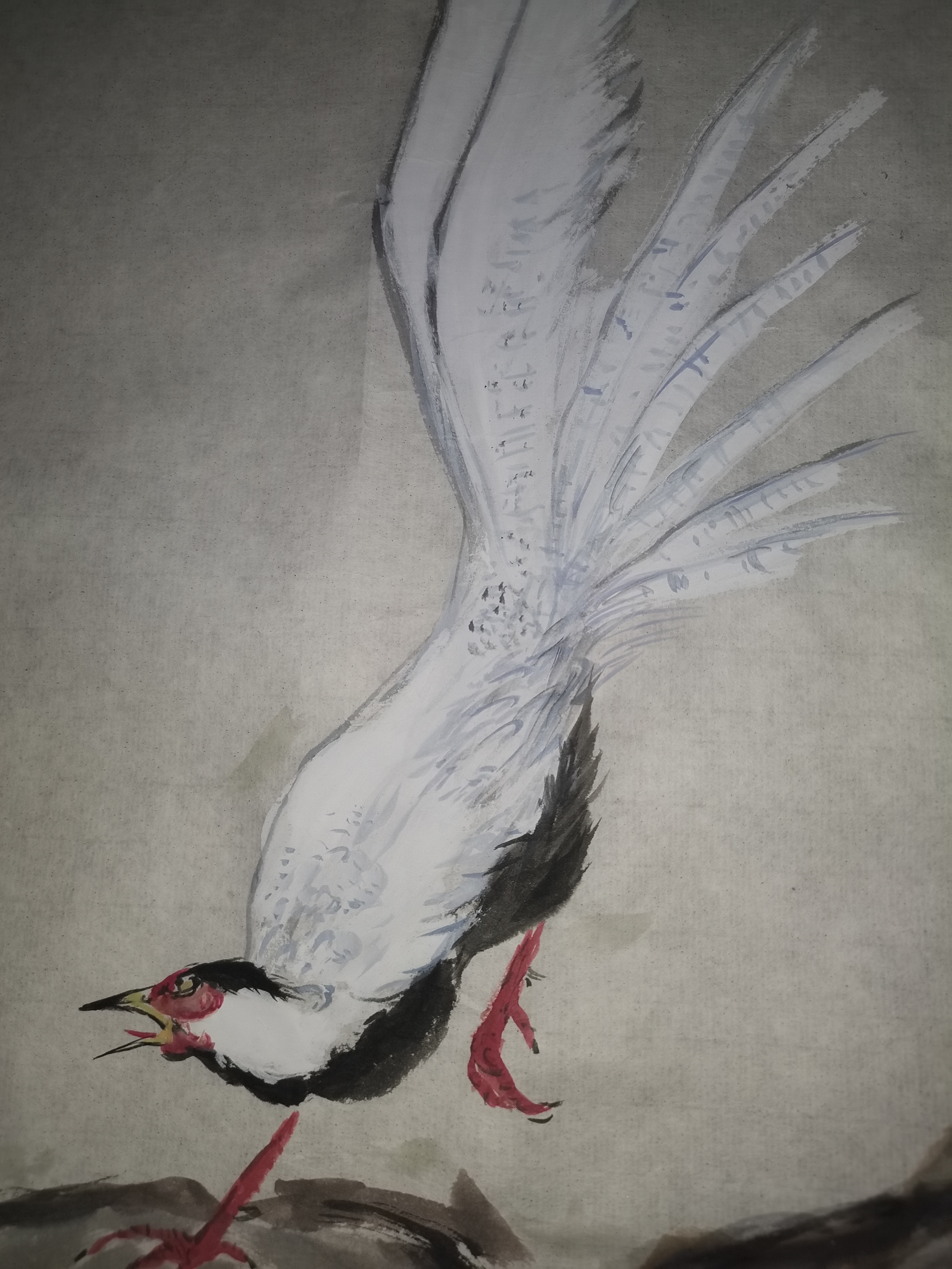 临摹王雪涛作品紫藤白鹇,小六尺纸,白鹇国家二级保护动物,和红腹锦鸡