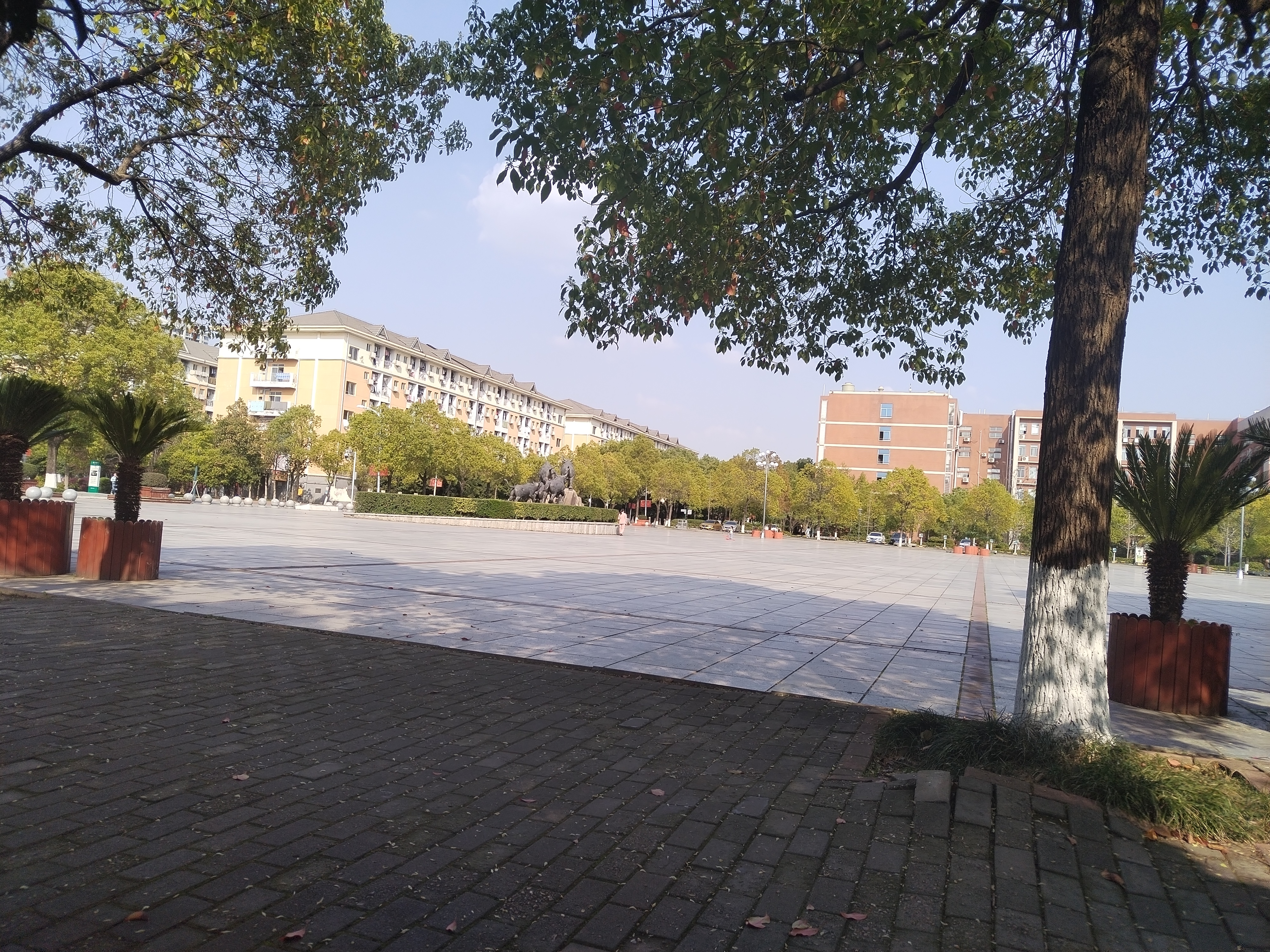 湖南农业大学校园风景图片