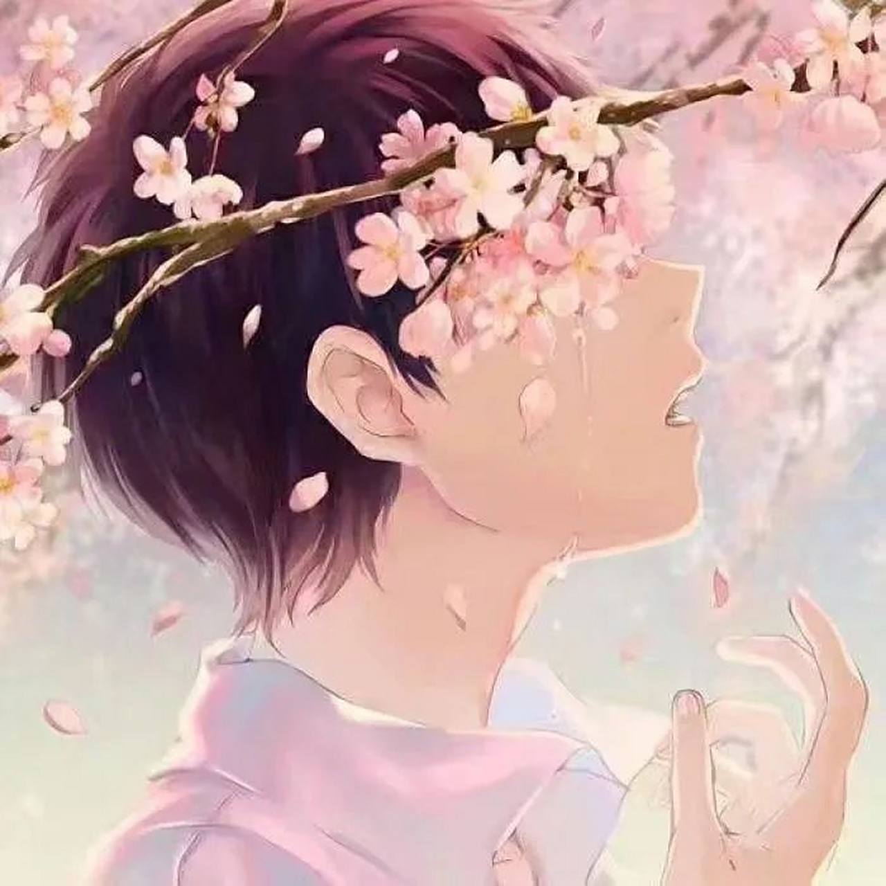 情头·不要钱批发的~~~~第十一章 每张只要一滑稽[滑稽][滑稽]