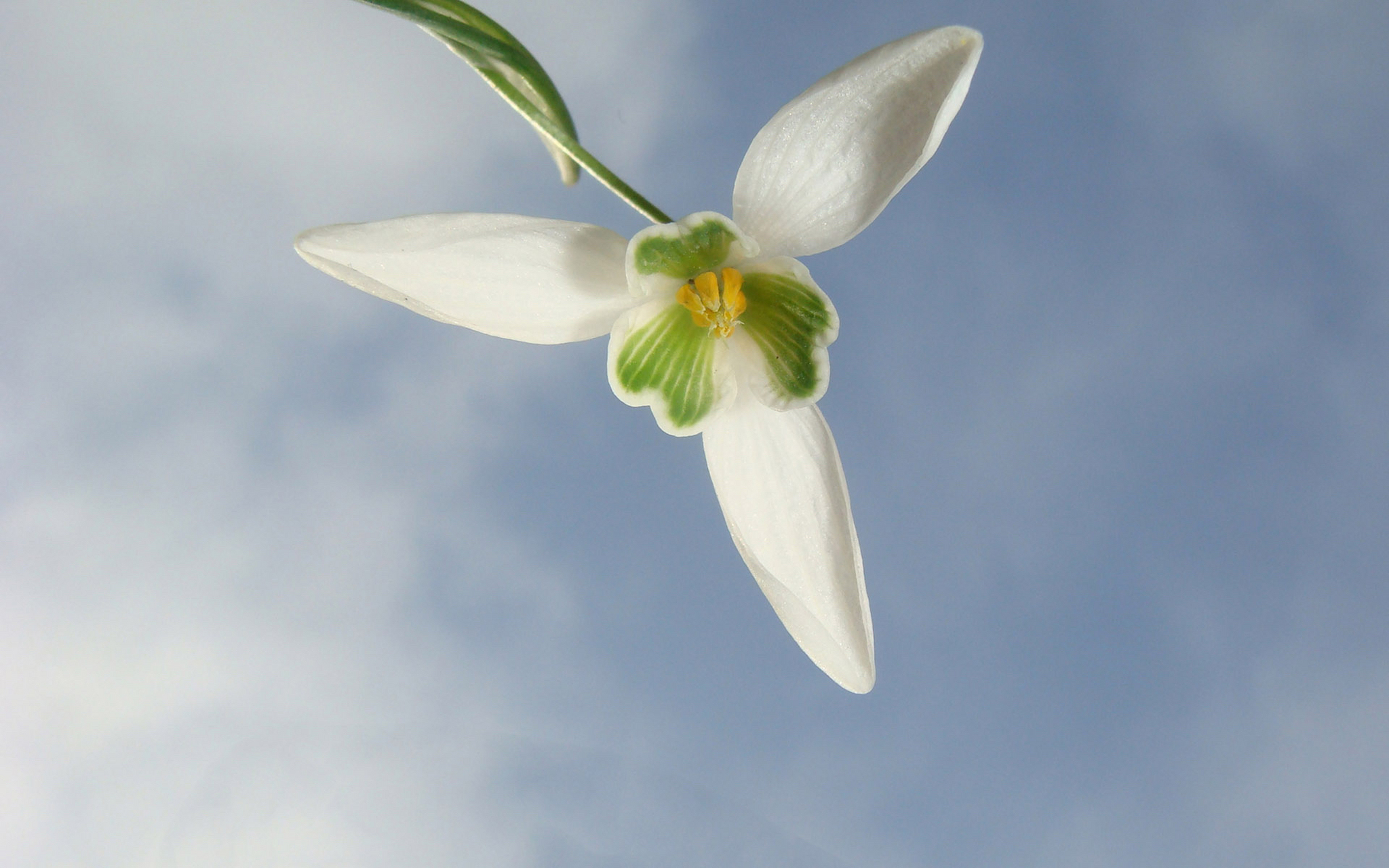 在填饱肚子的同时,我们用五花八门的美食来奖赏自己.