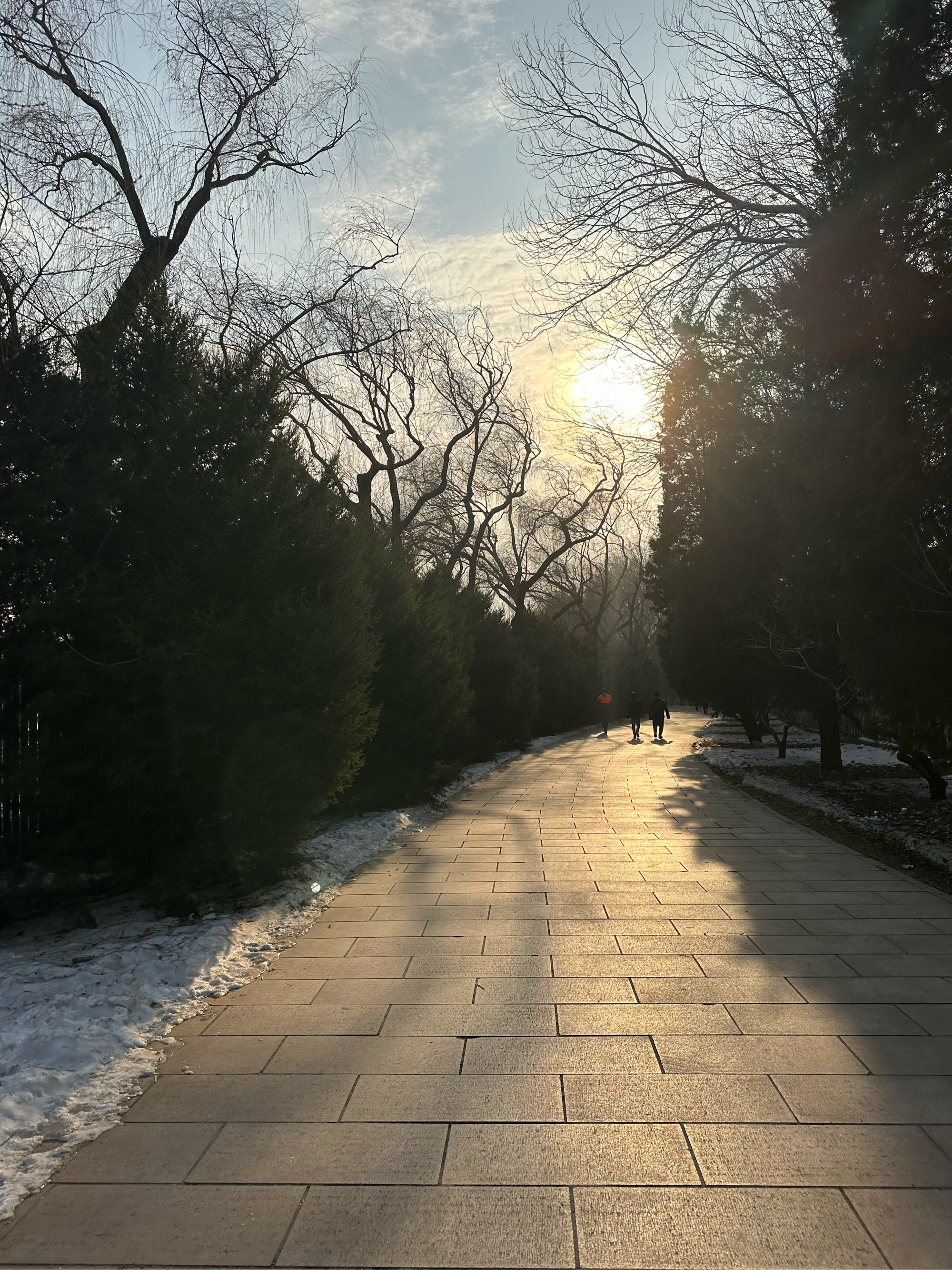 下雪天美景图片