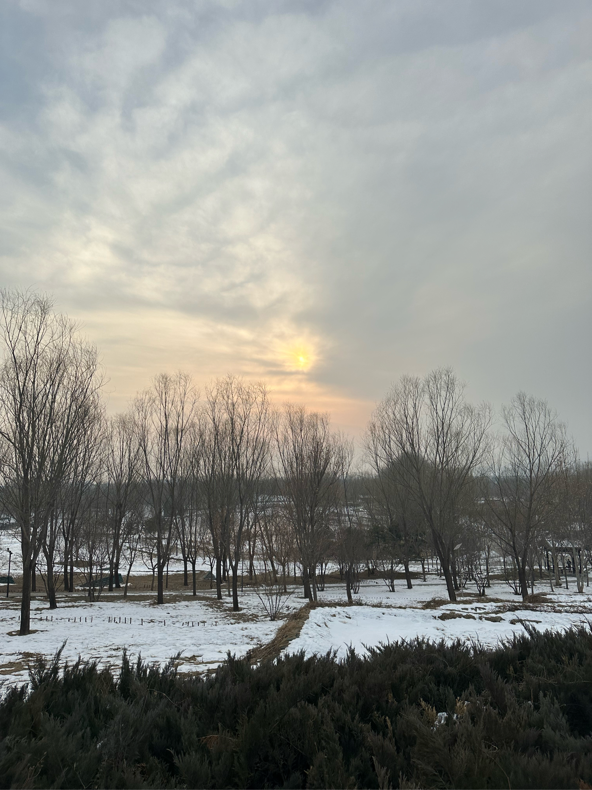 苍茫大地白雪皑皑图片