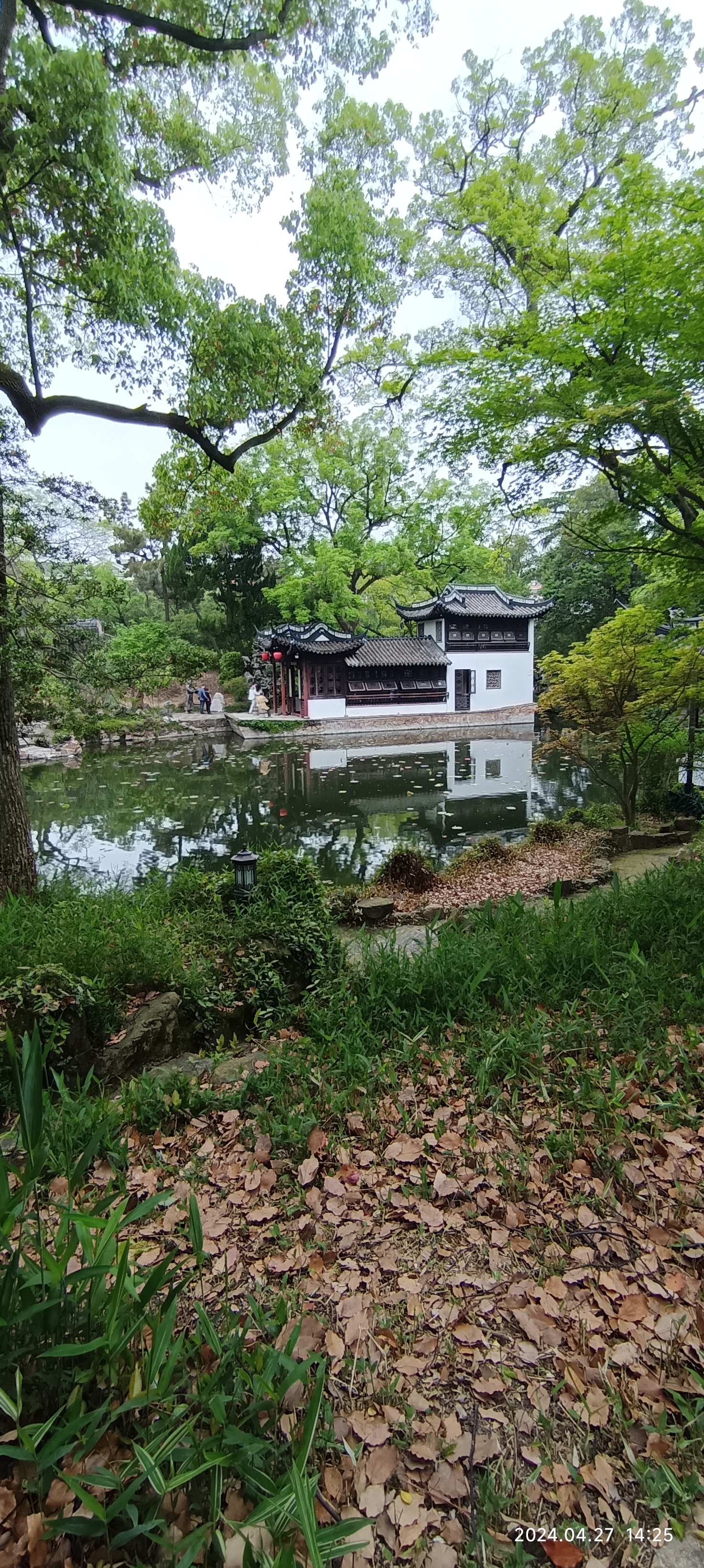 在绿意盎然的庭院中,一幢古色古香的亭台楼阁矗立其中.